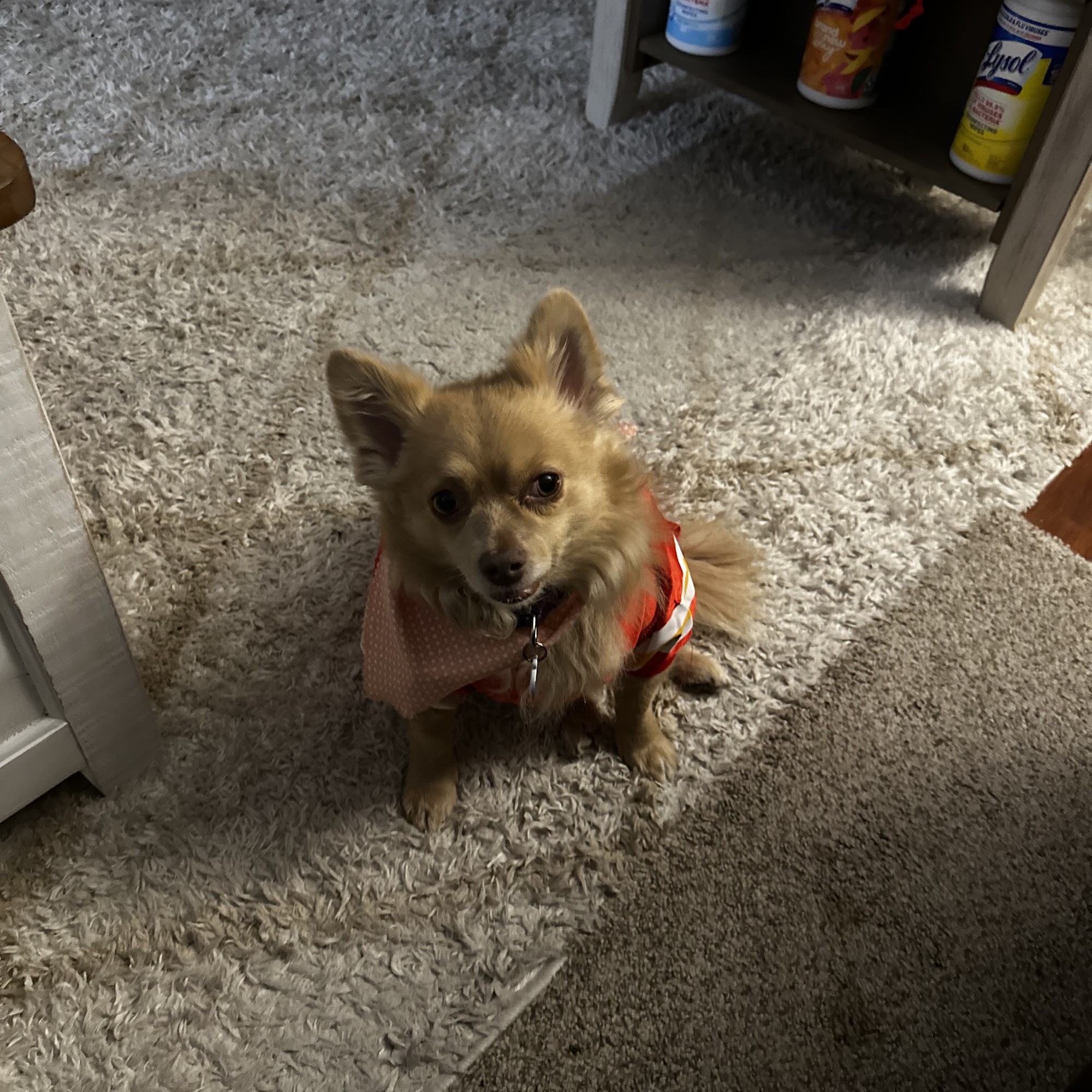 Rose Hill Veterinary Clinic: Reed Harrison DVM Rose Hill