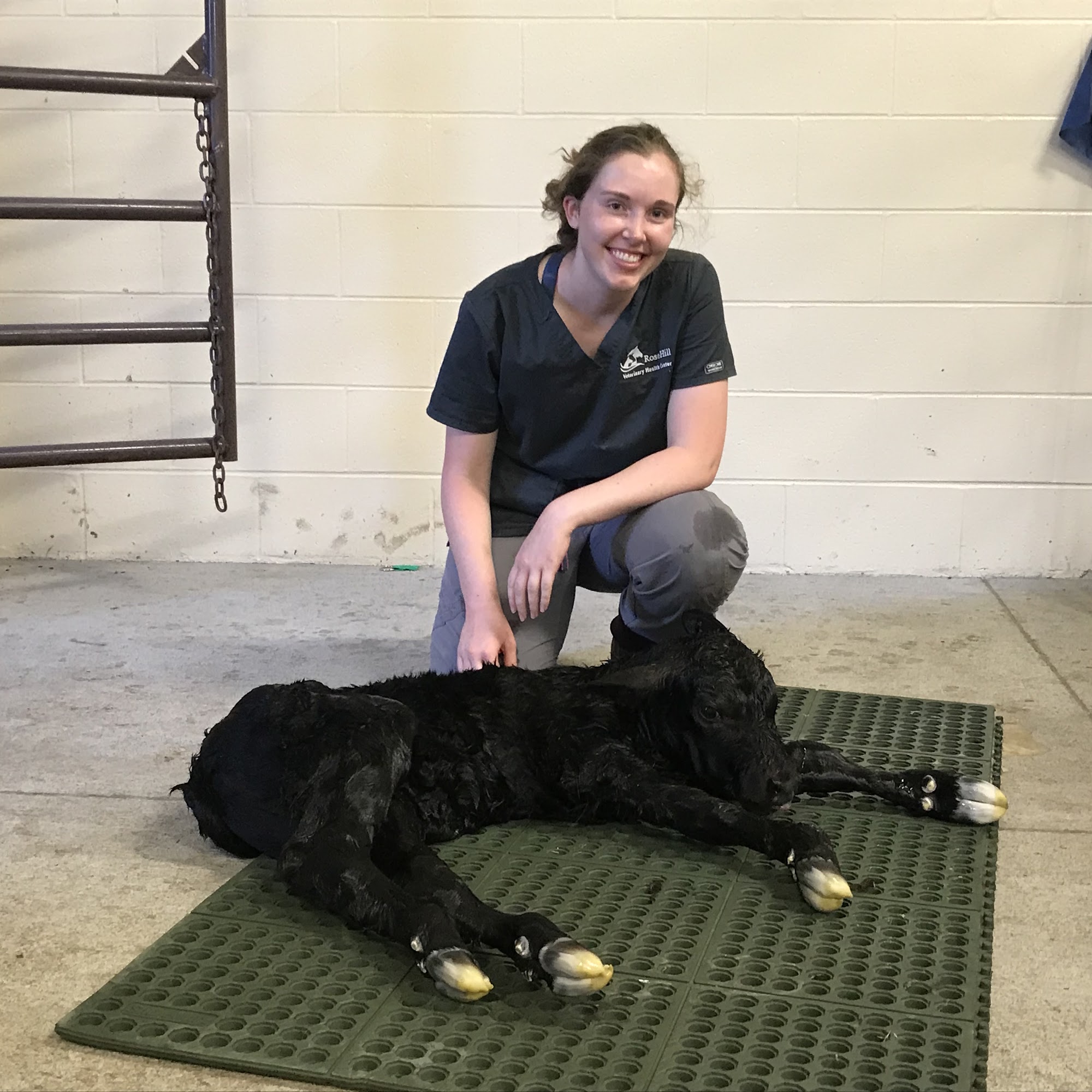 Hodes Veterinary Health Center Rose Hill