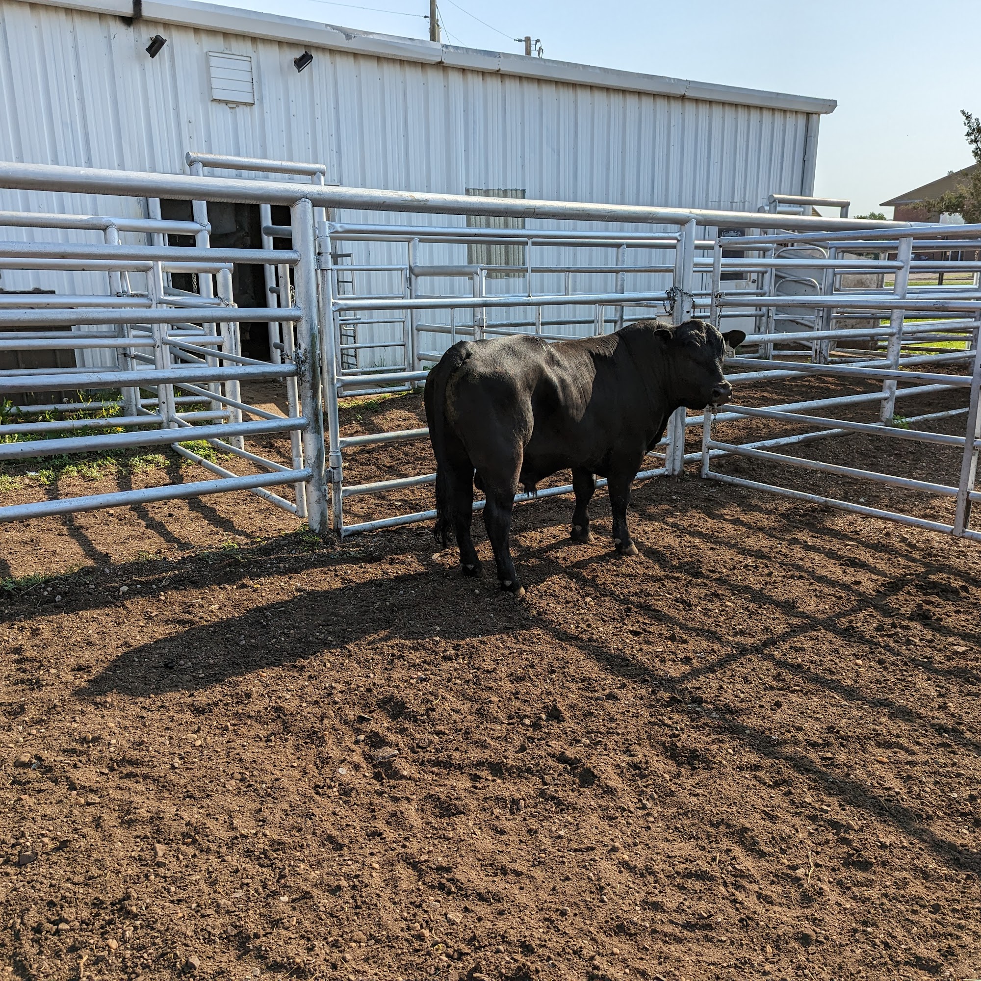 Russell Veterinary Service Russell