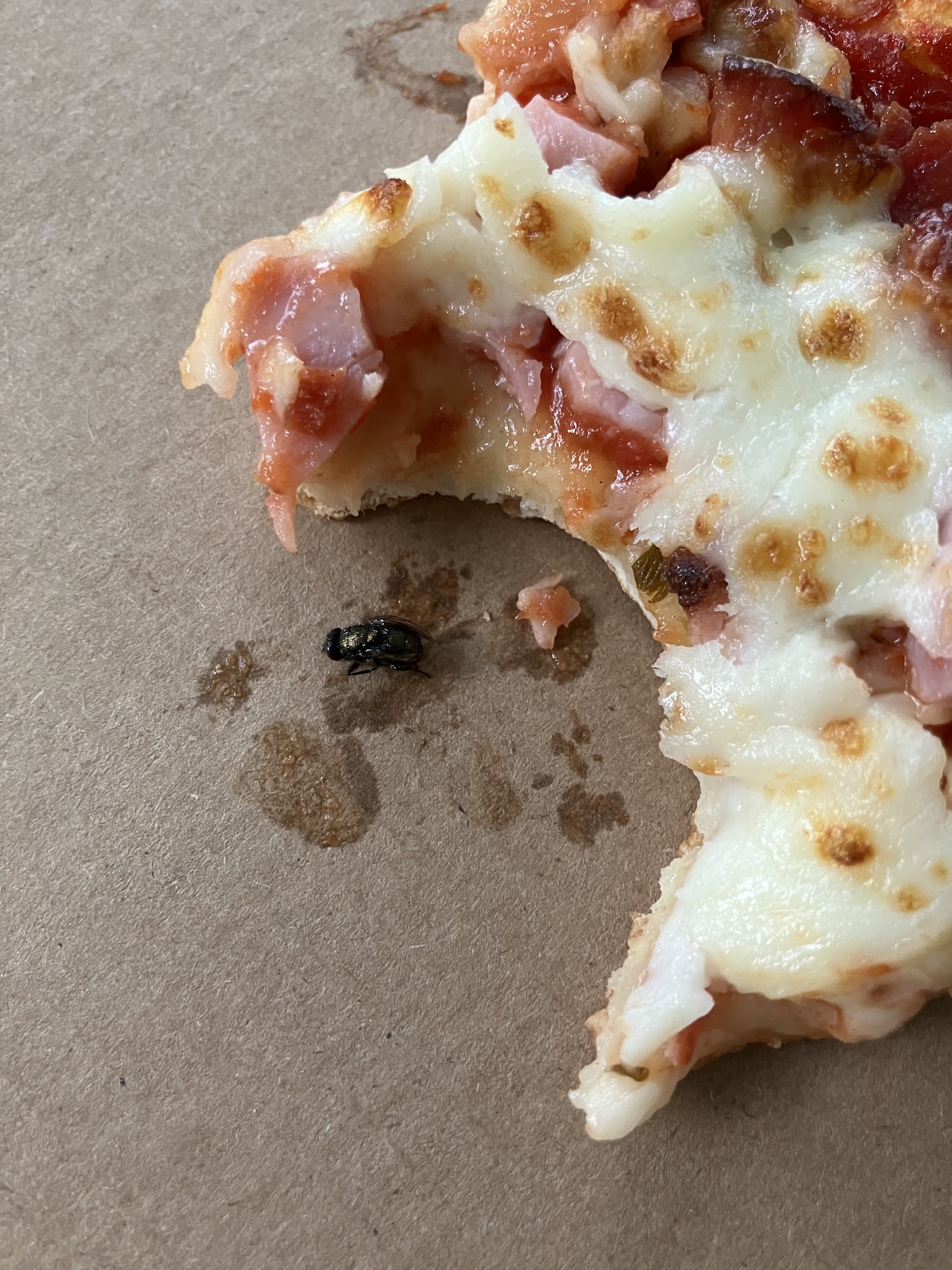 Papa John's Pizza Menu