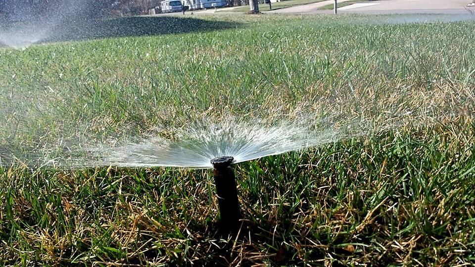 Professional Sprinkler Installation