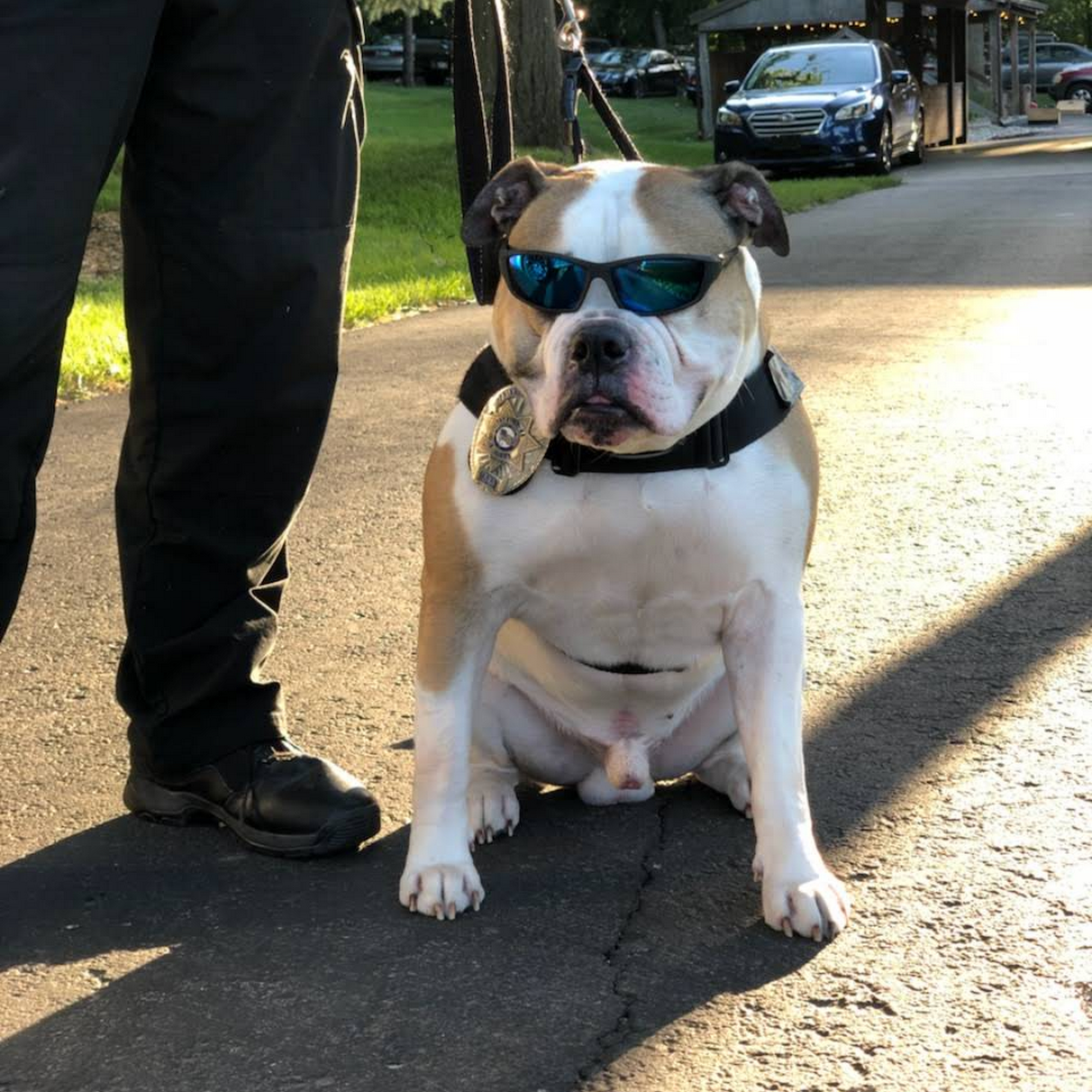 Quivira Road Animal Clinic Shawnee