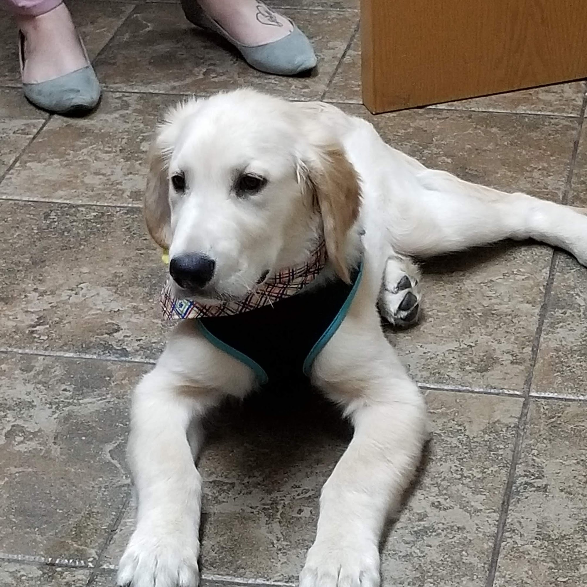 Perimeter Veterinary Center Shawnee