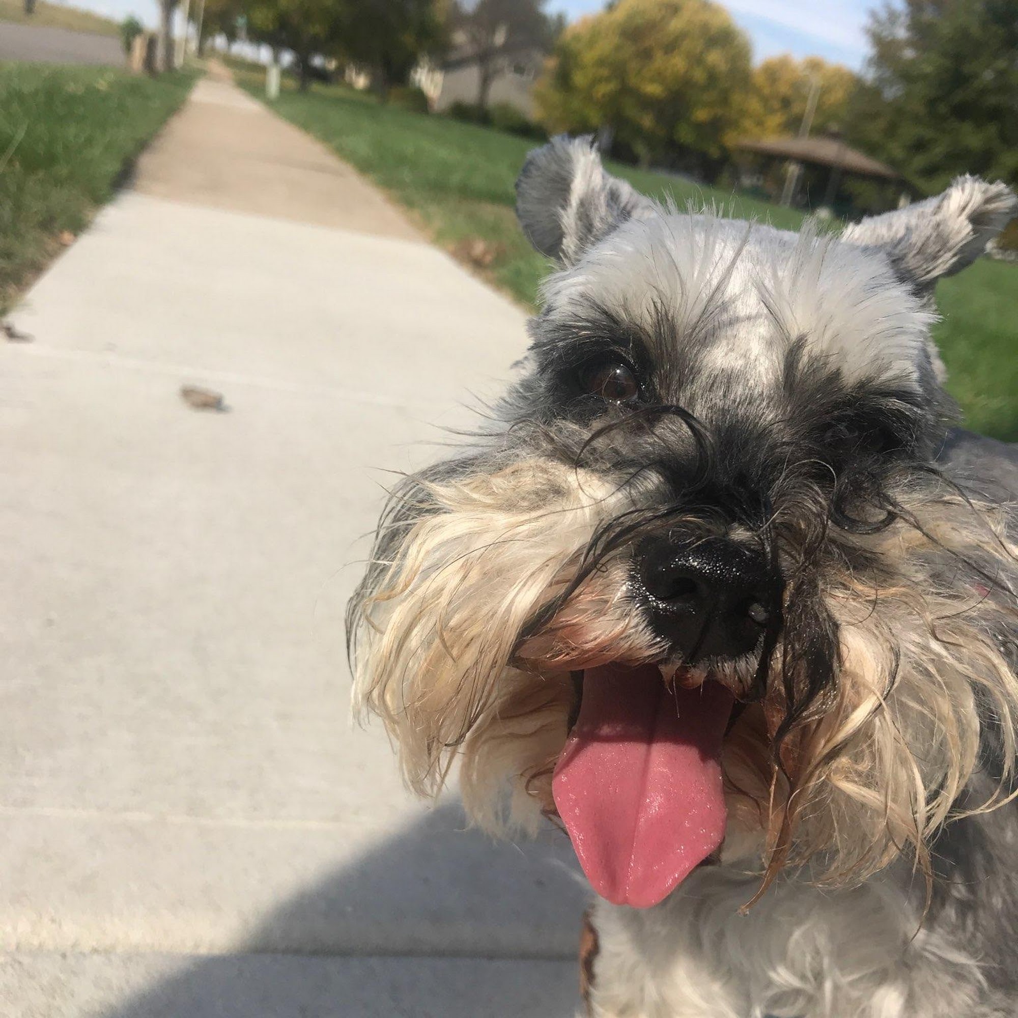 Animal Care Clinic Shawnee