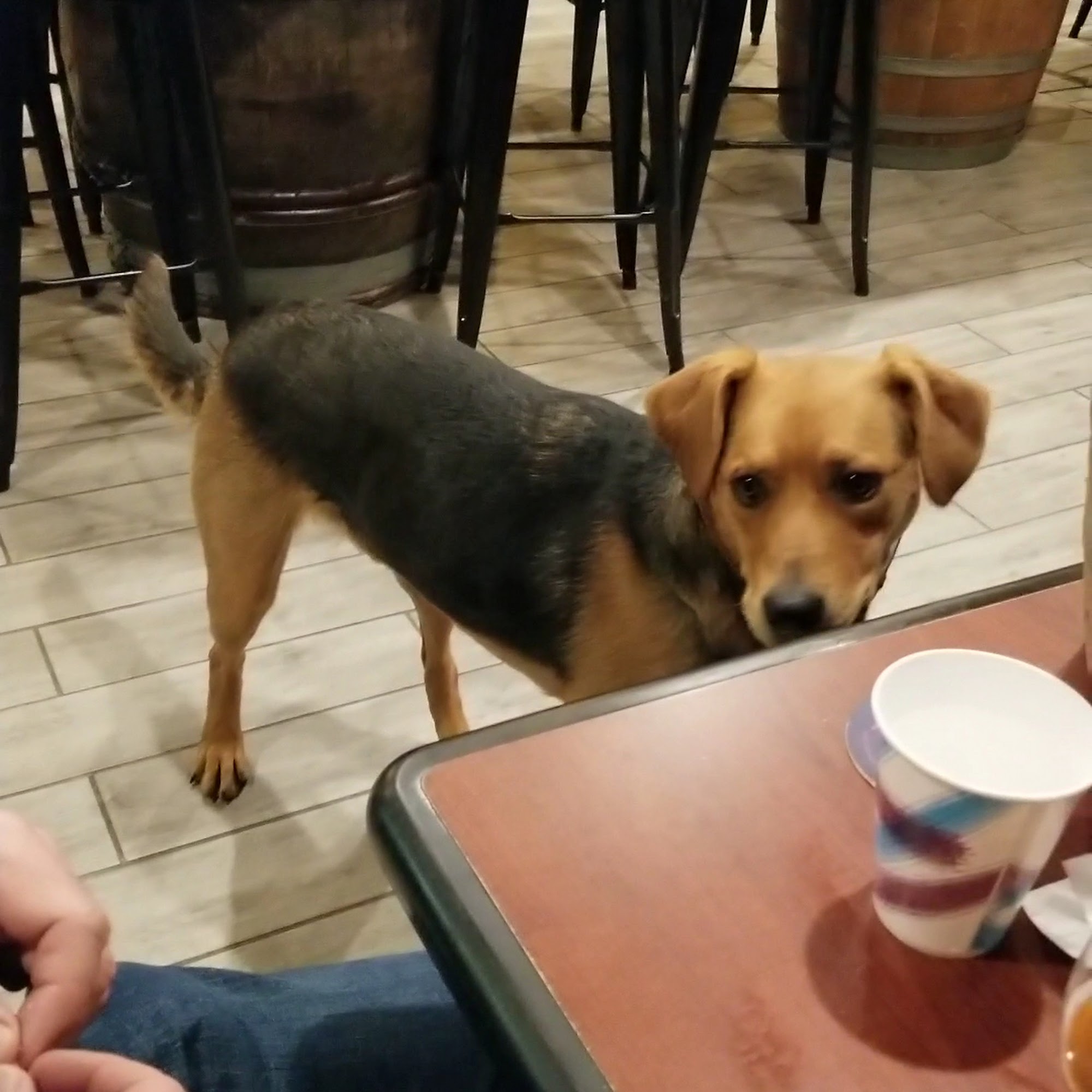 Transport Brewery Shawnee Shawnee