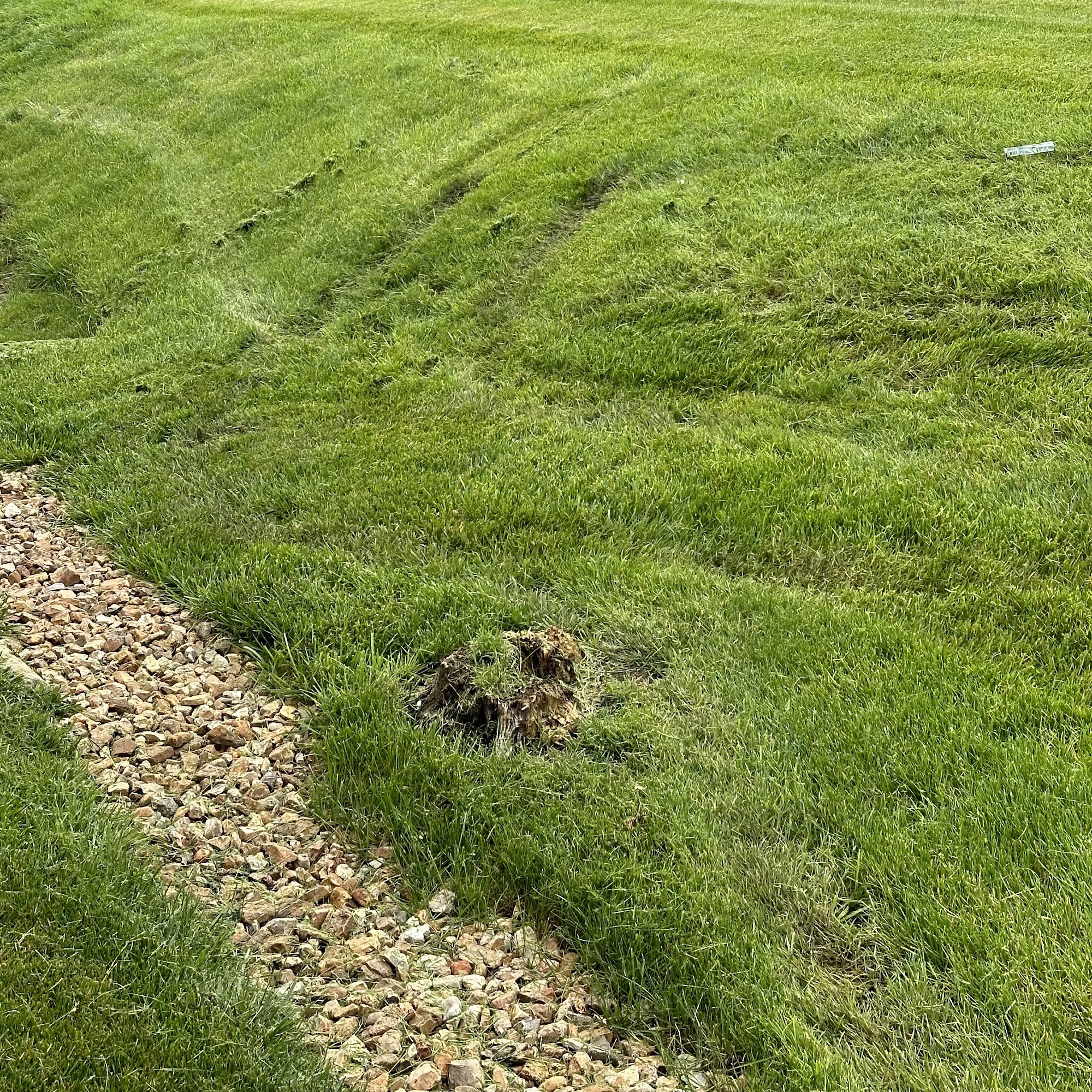 Bretton’s Lawn Inc