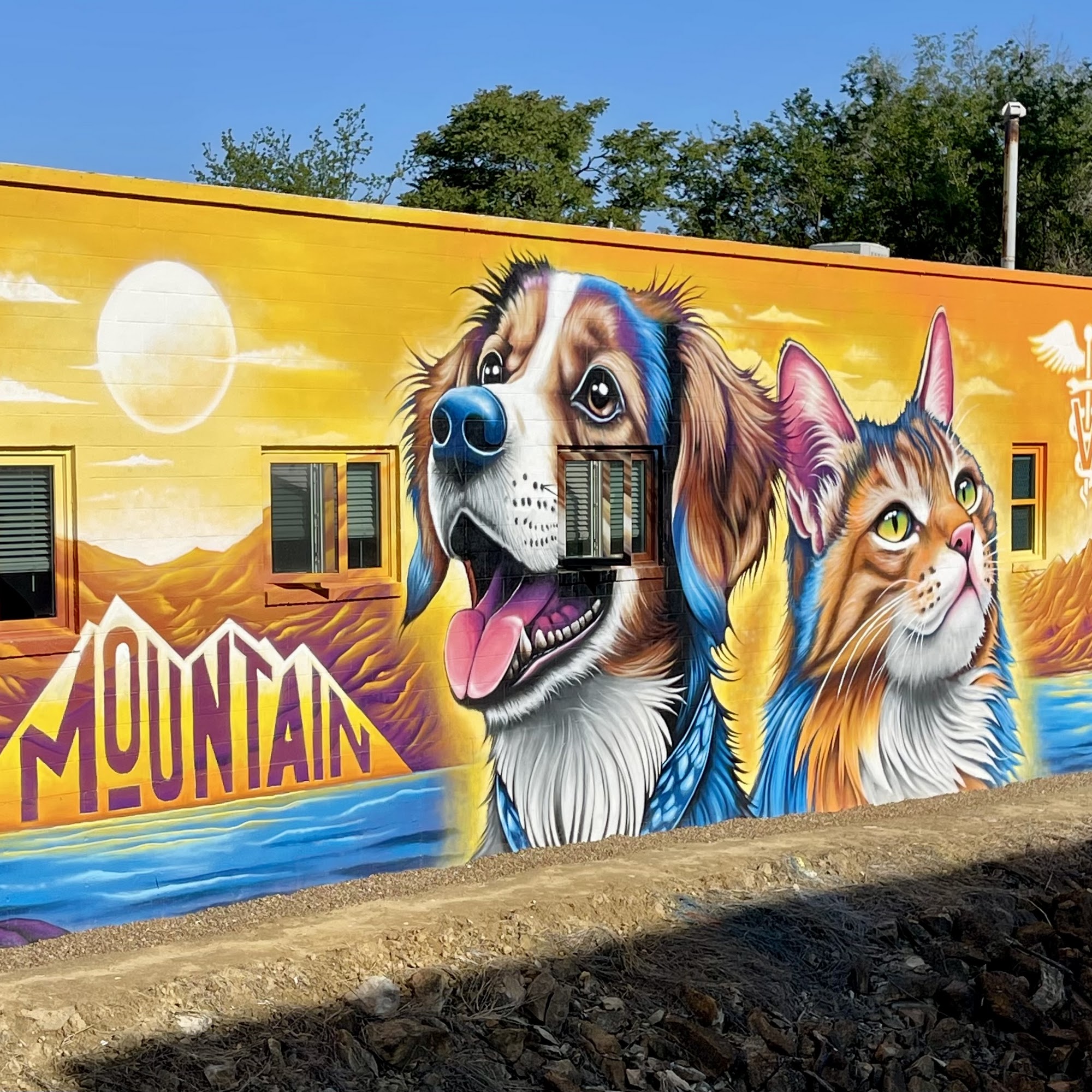 Mountain Veterinary Services Topeka