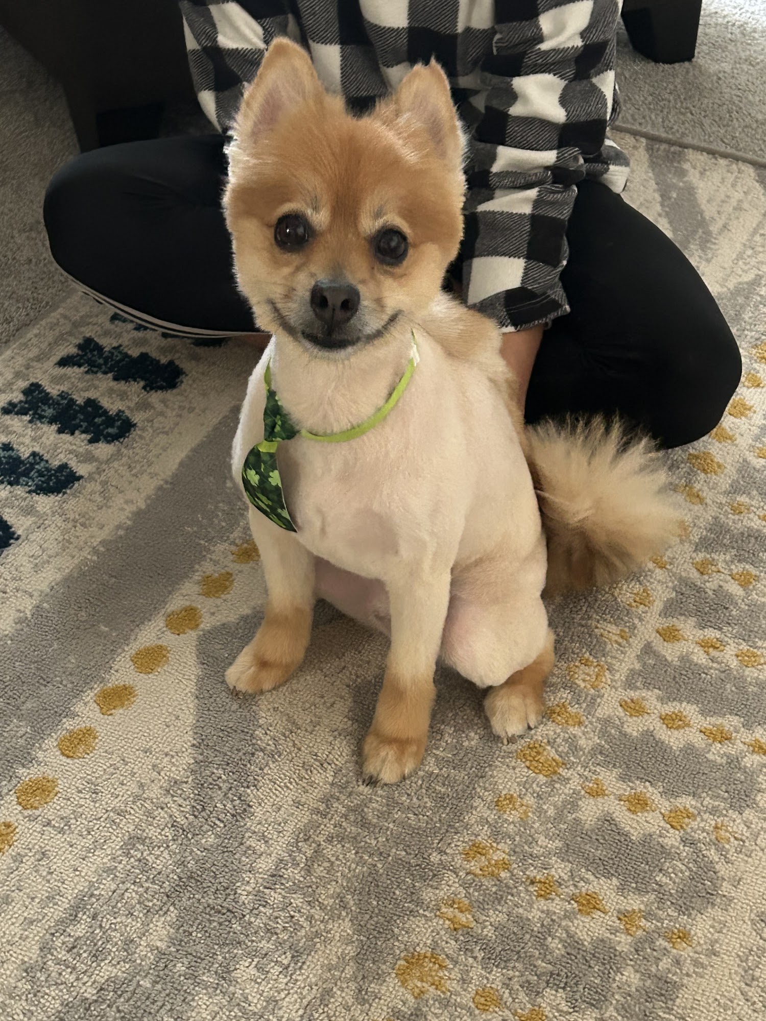 Family Pet Hospital Topeka