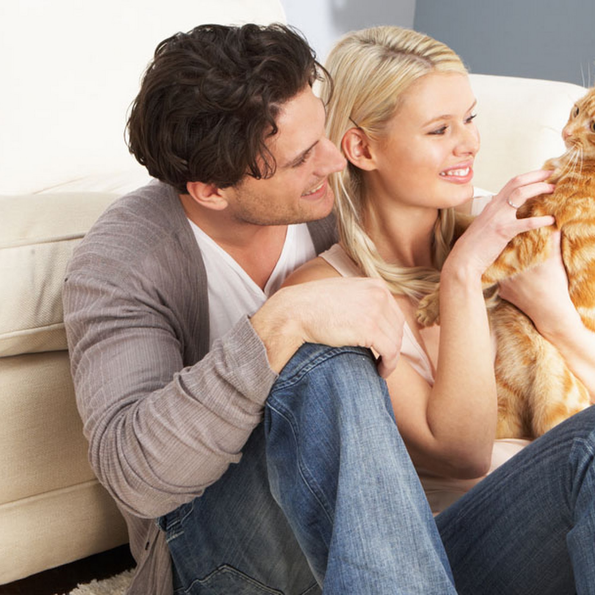 Pleasant Hill Animal Hospital Topeka