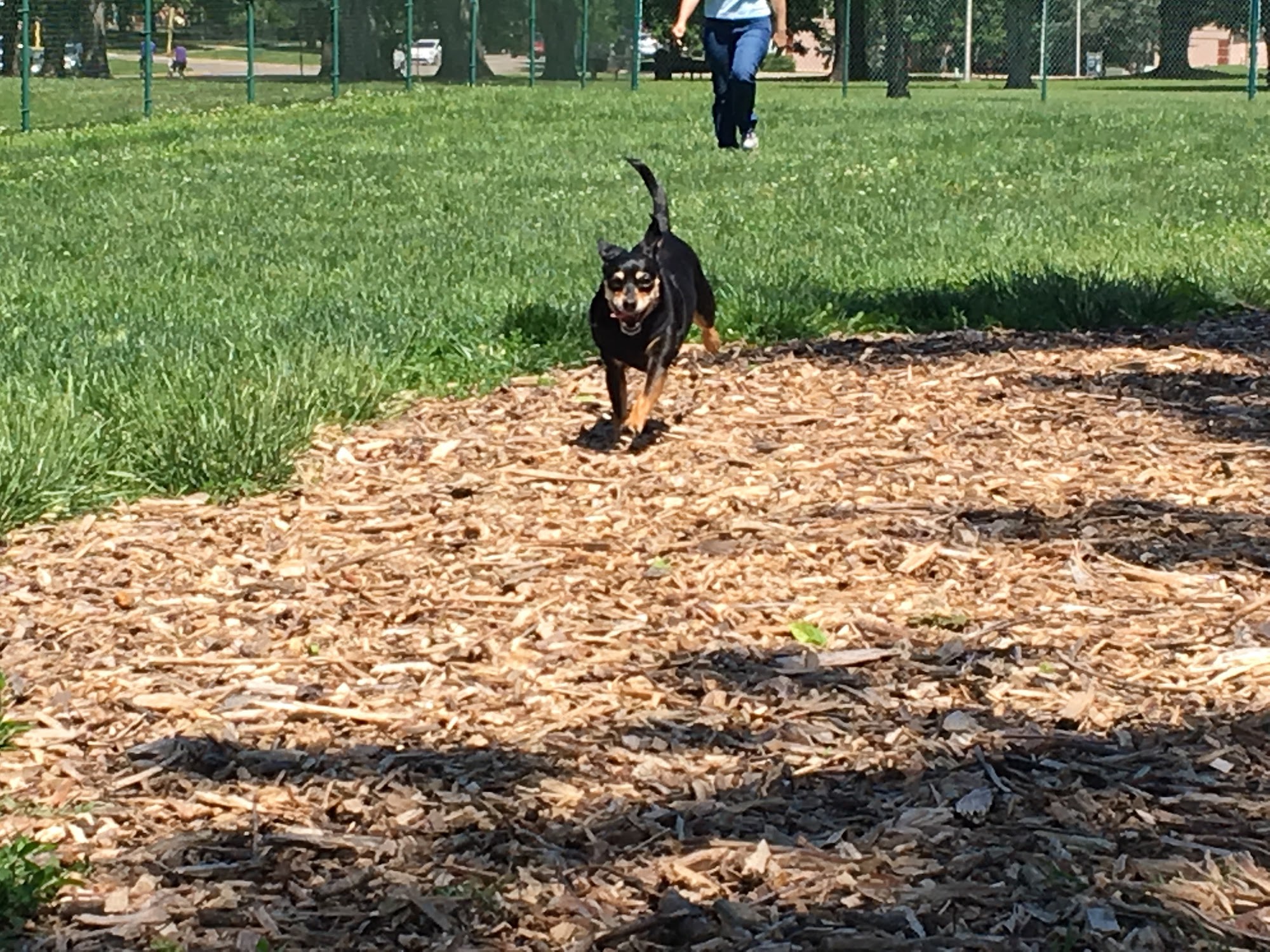 Hills Pet Nutrition Bark Park Topeka