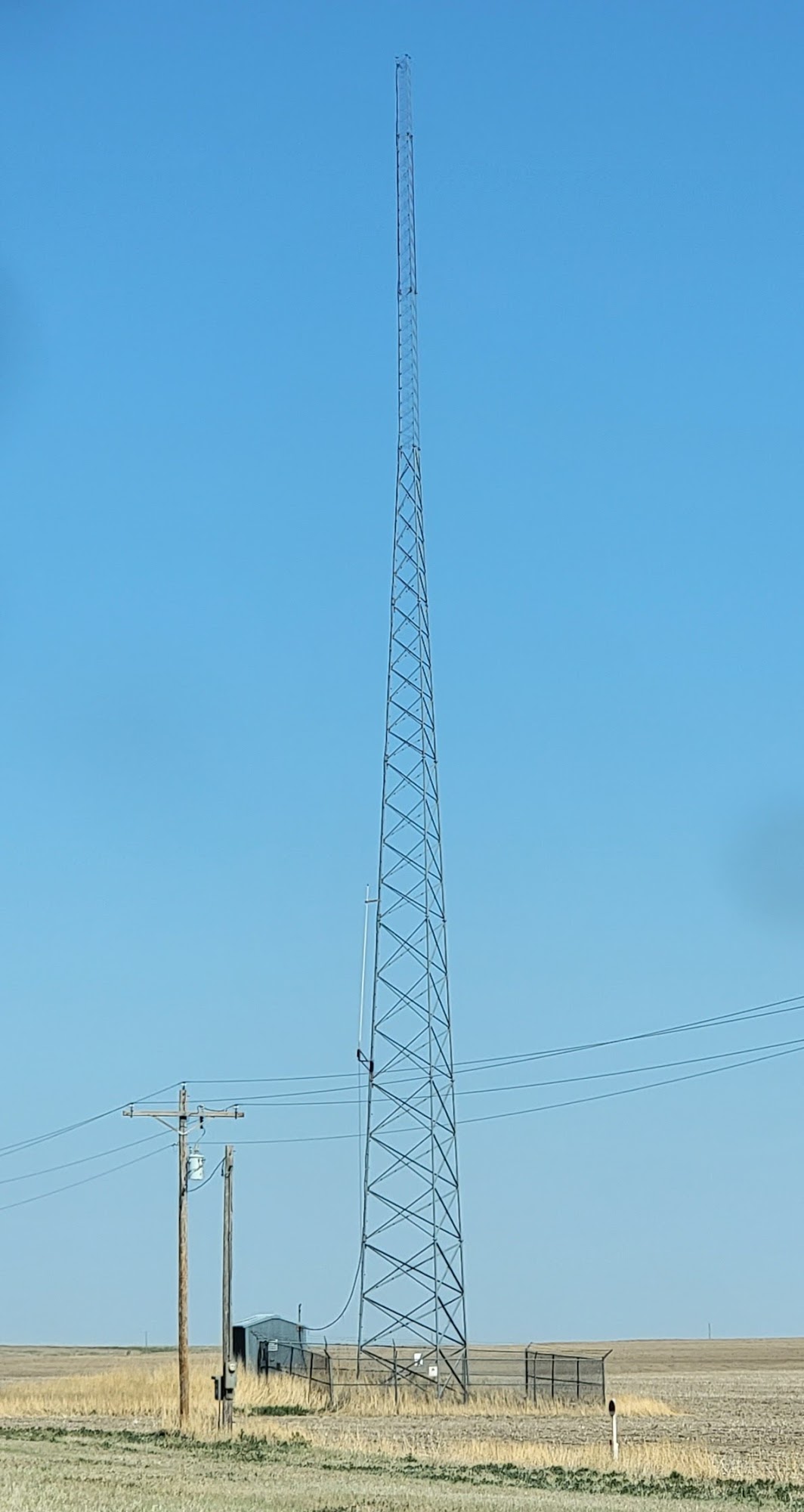 Tribune Tower Site Tribune