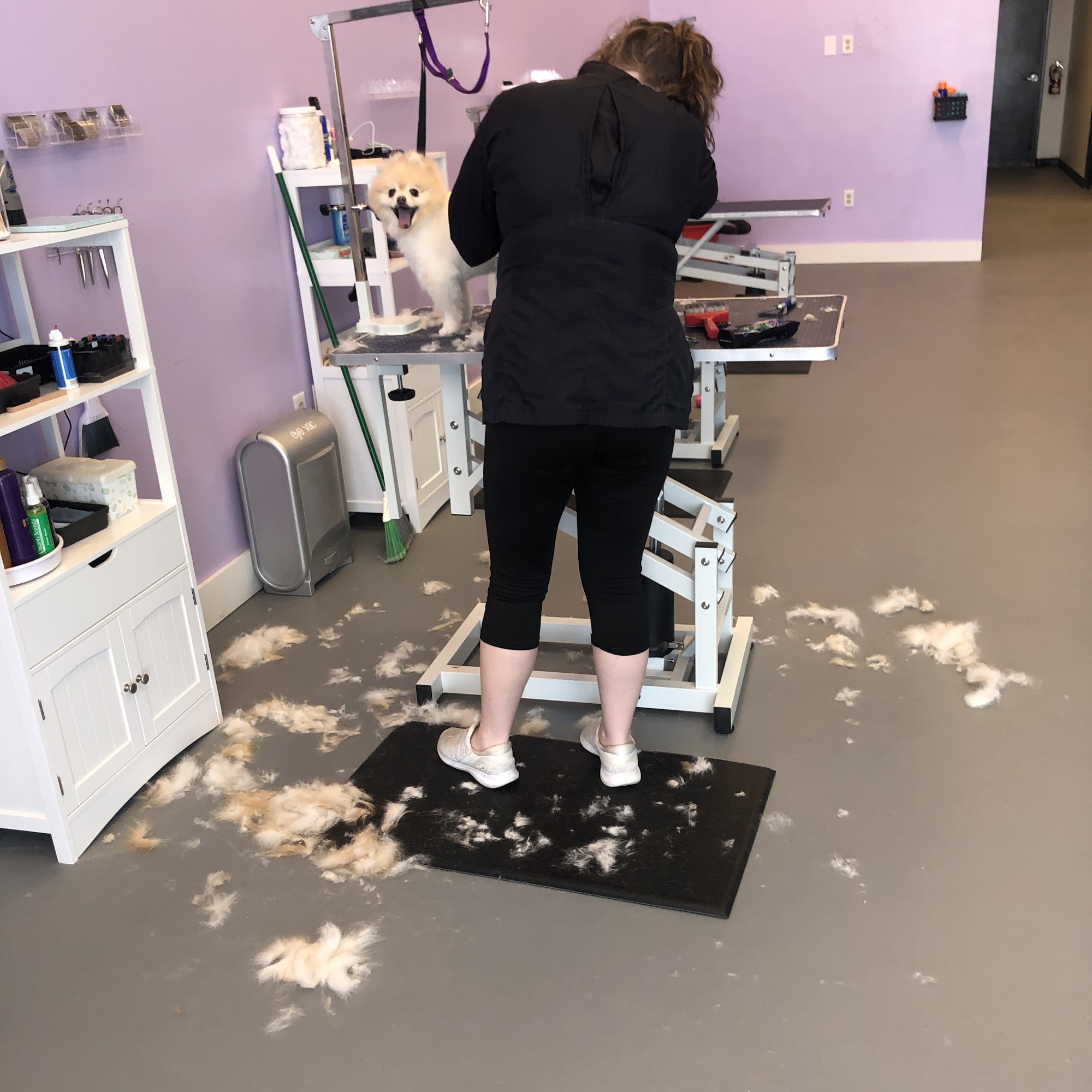 Muttamorphosis Dog Grooming Wichita