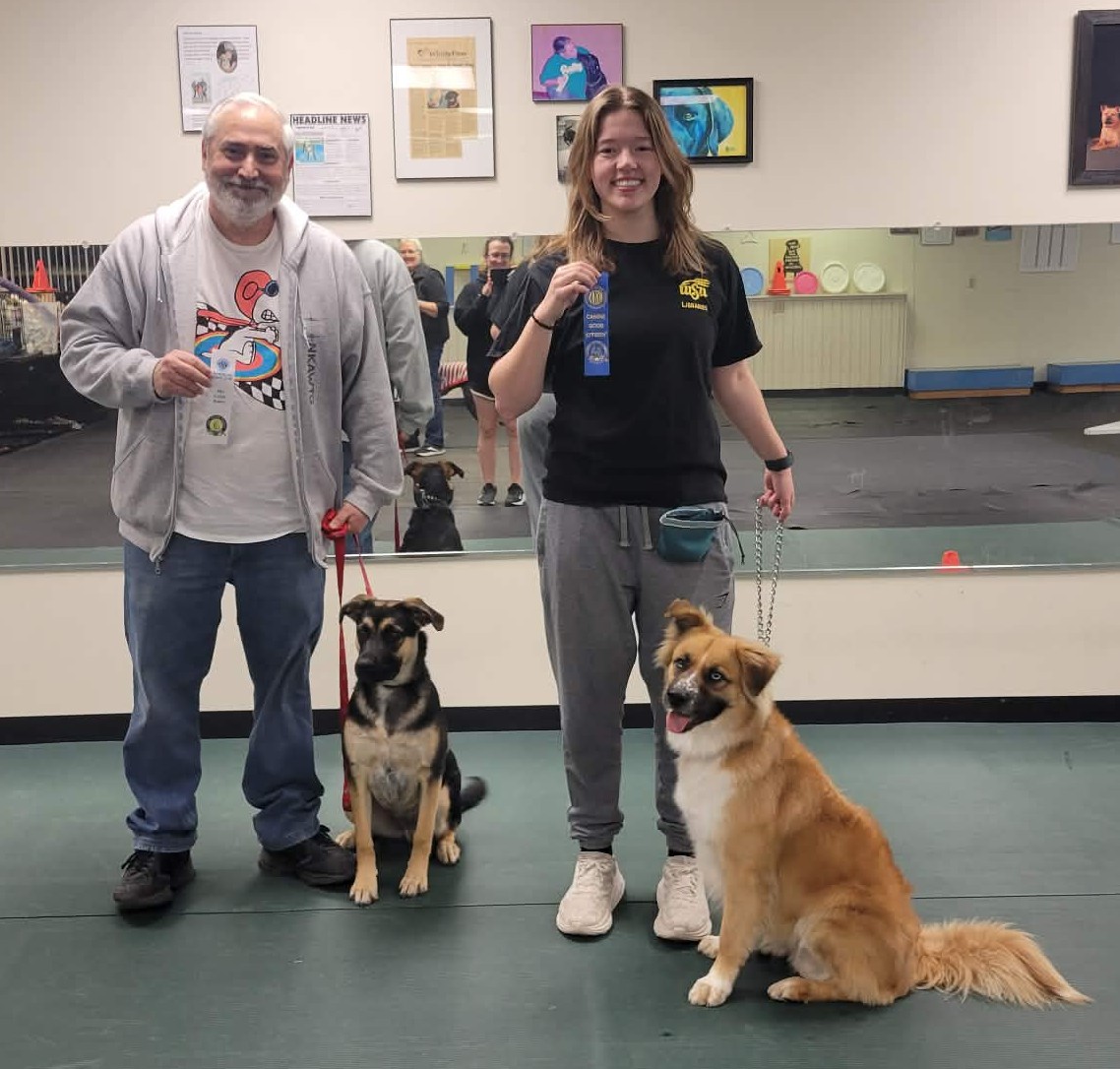 SitStay Dog Training Wichita