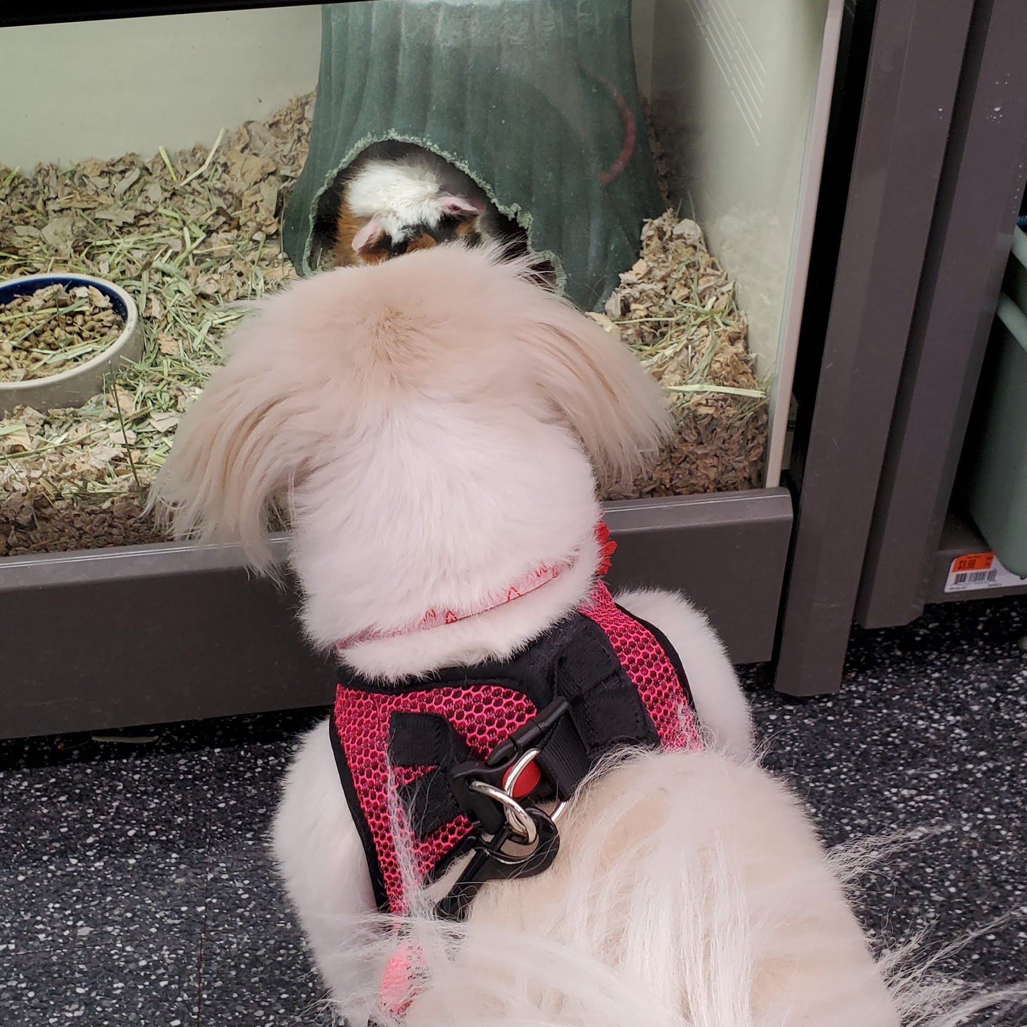 Pet Supplies Plus Wichita - West Wichita