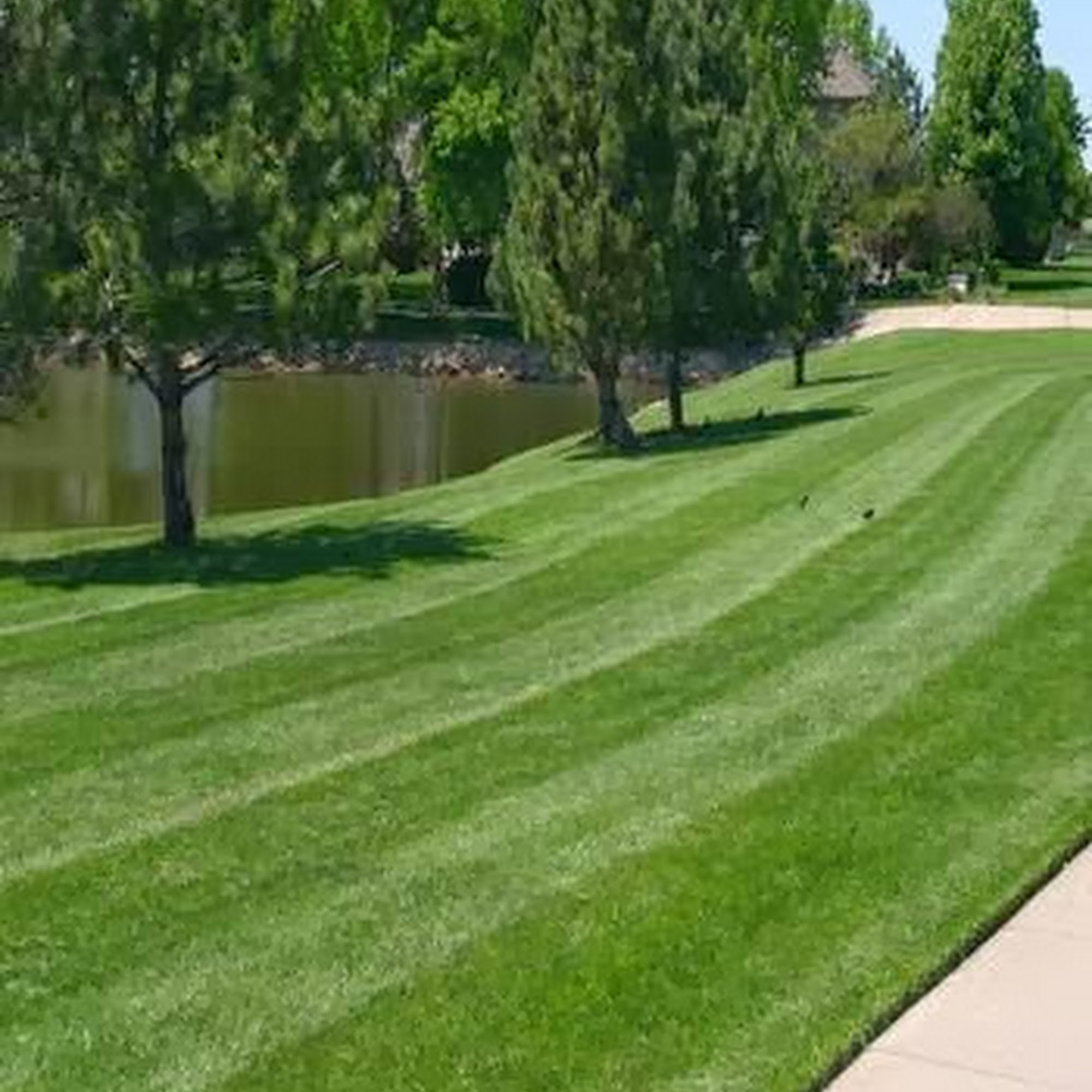Hay Lawn Care
