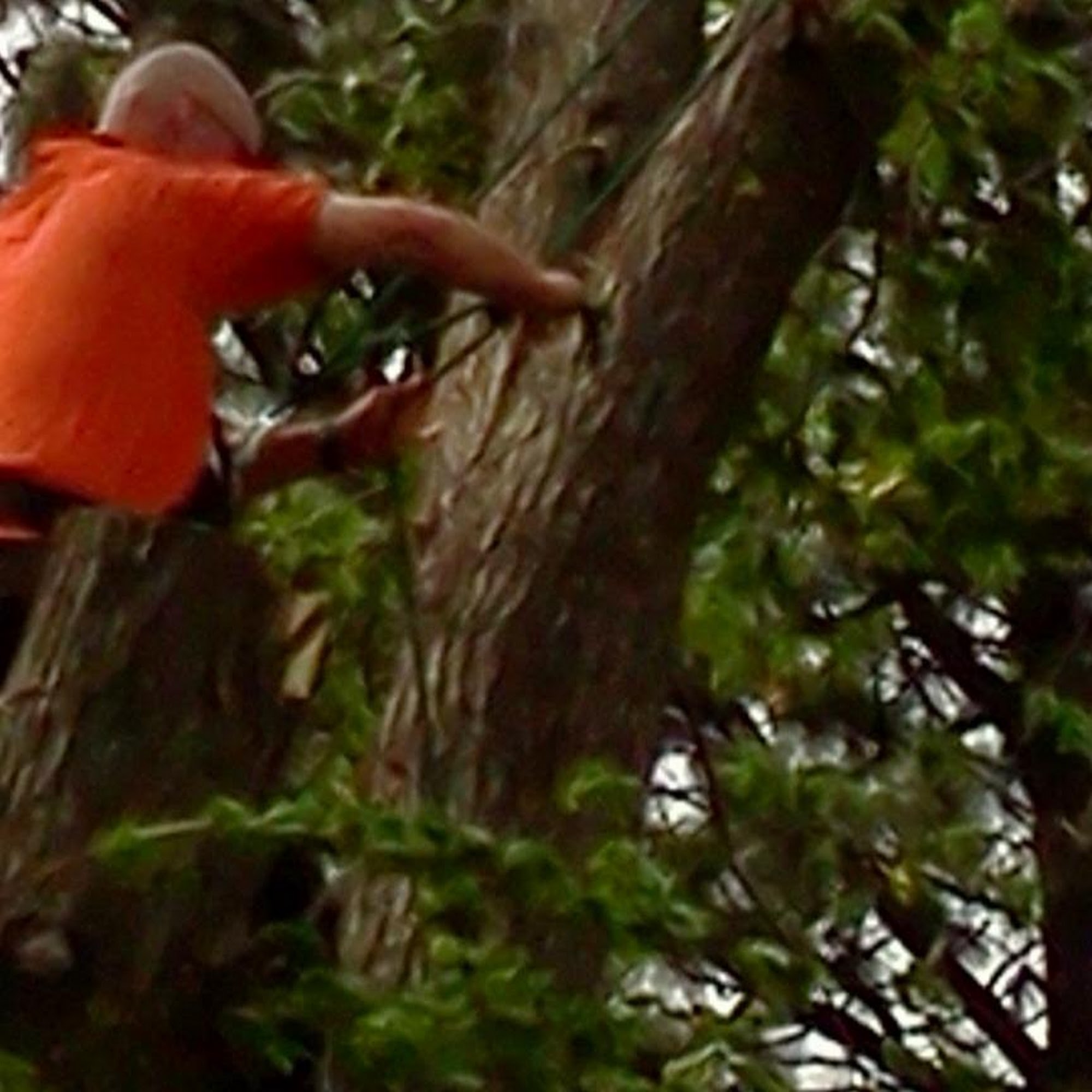 Marcs tree and landscape 1135 N Sheridan St, Wichita, KS 67203