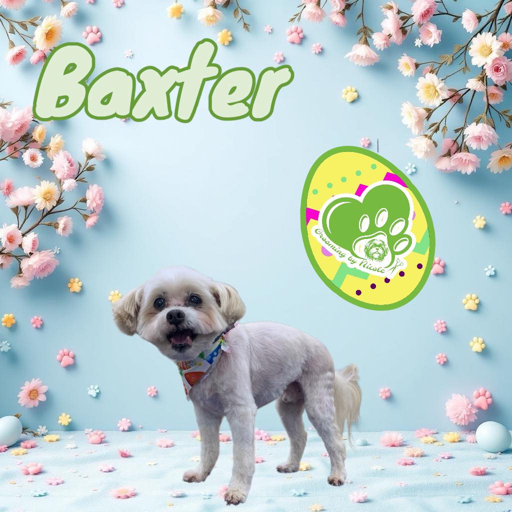 Grooming by Nicole LLC Pet Salon and Hotel Bardstown