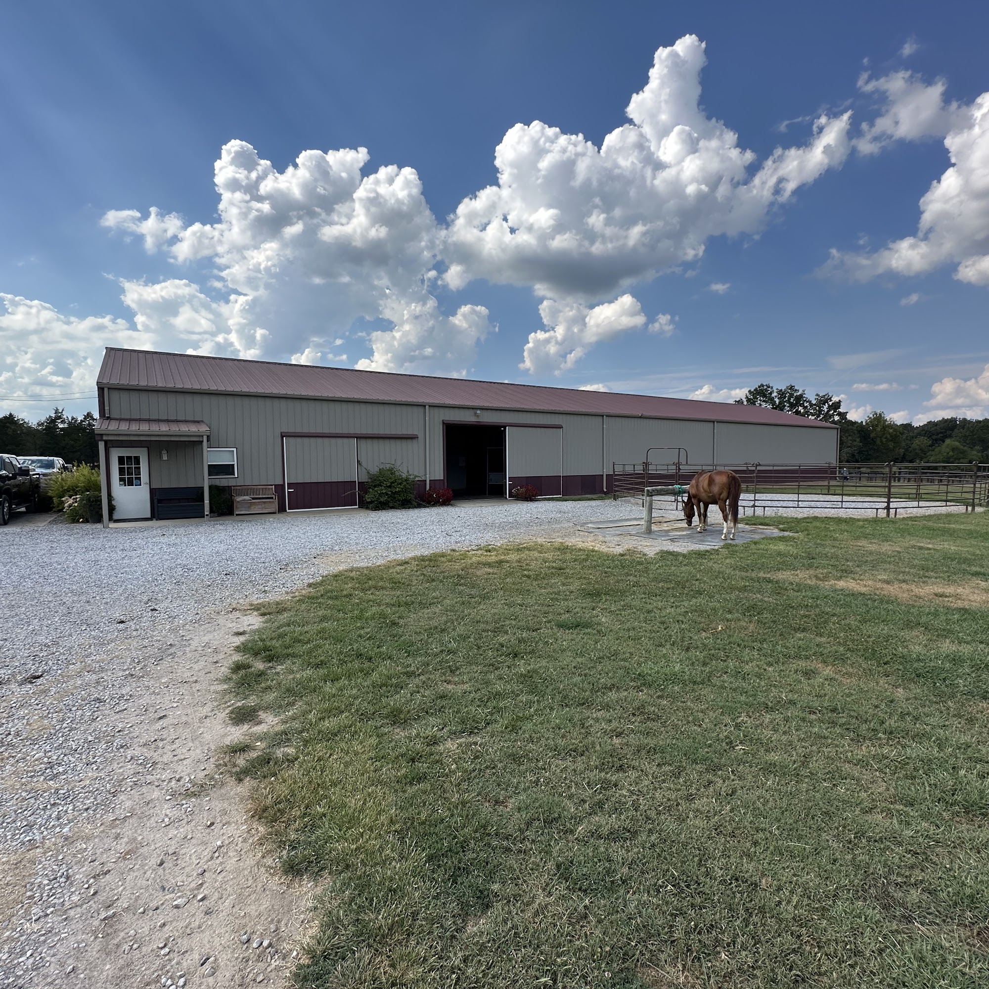 Kentucky Lake Equine Hospital Benton