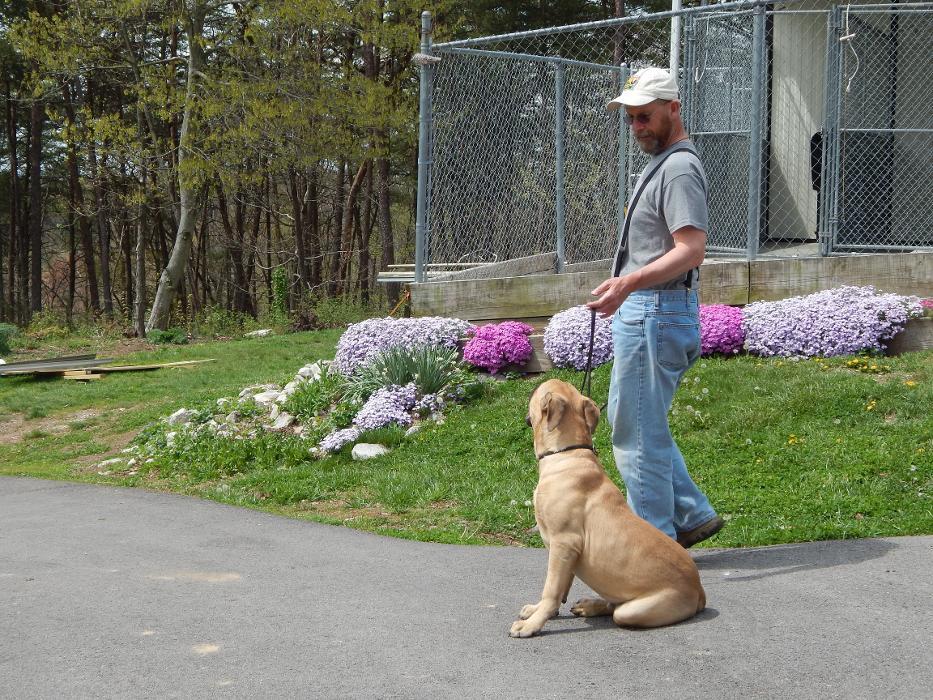 Durham Kennels Berea