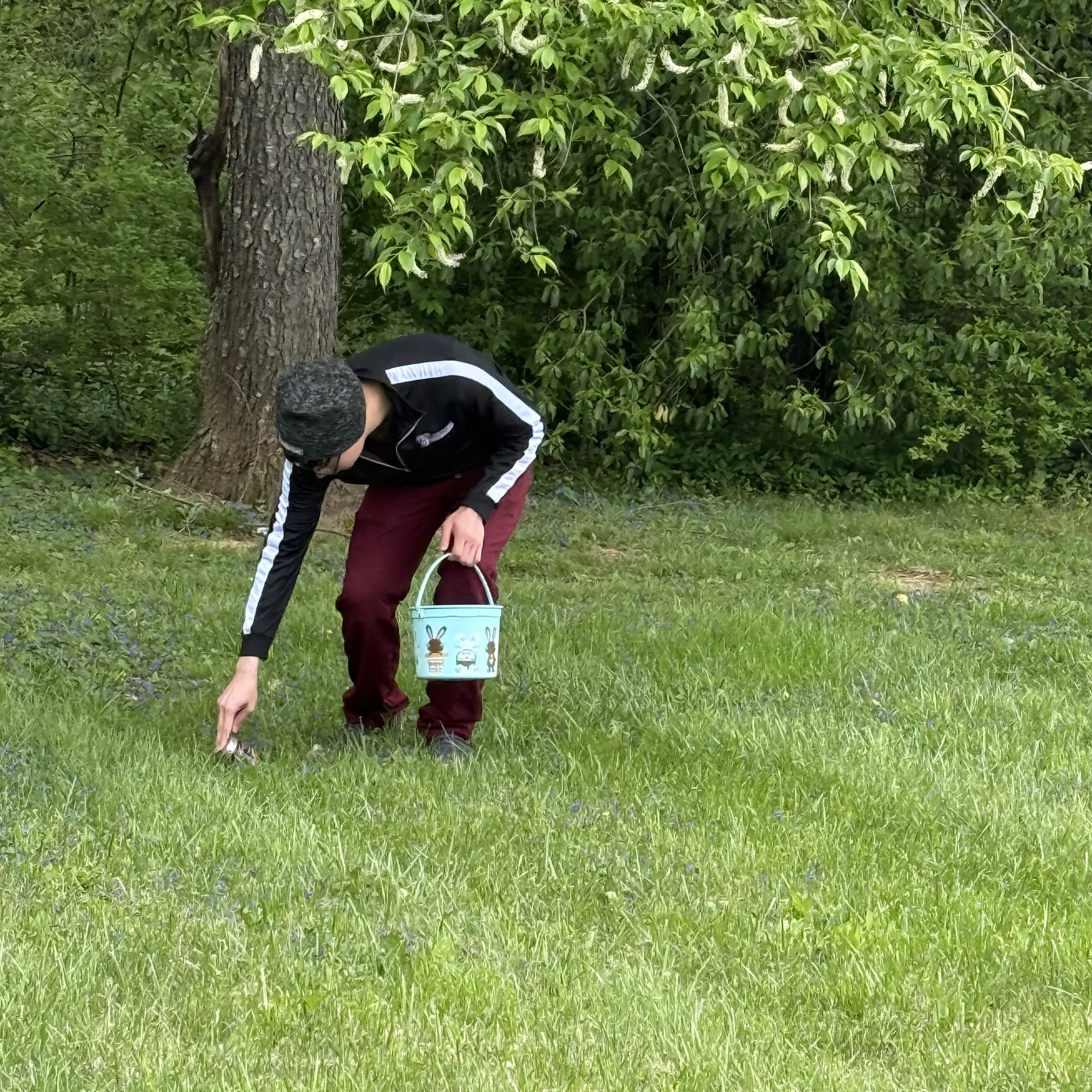 All Cats & Dogs Veterinary Hospital Bowling Green