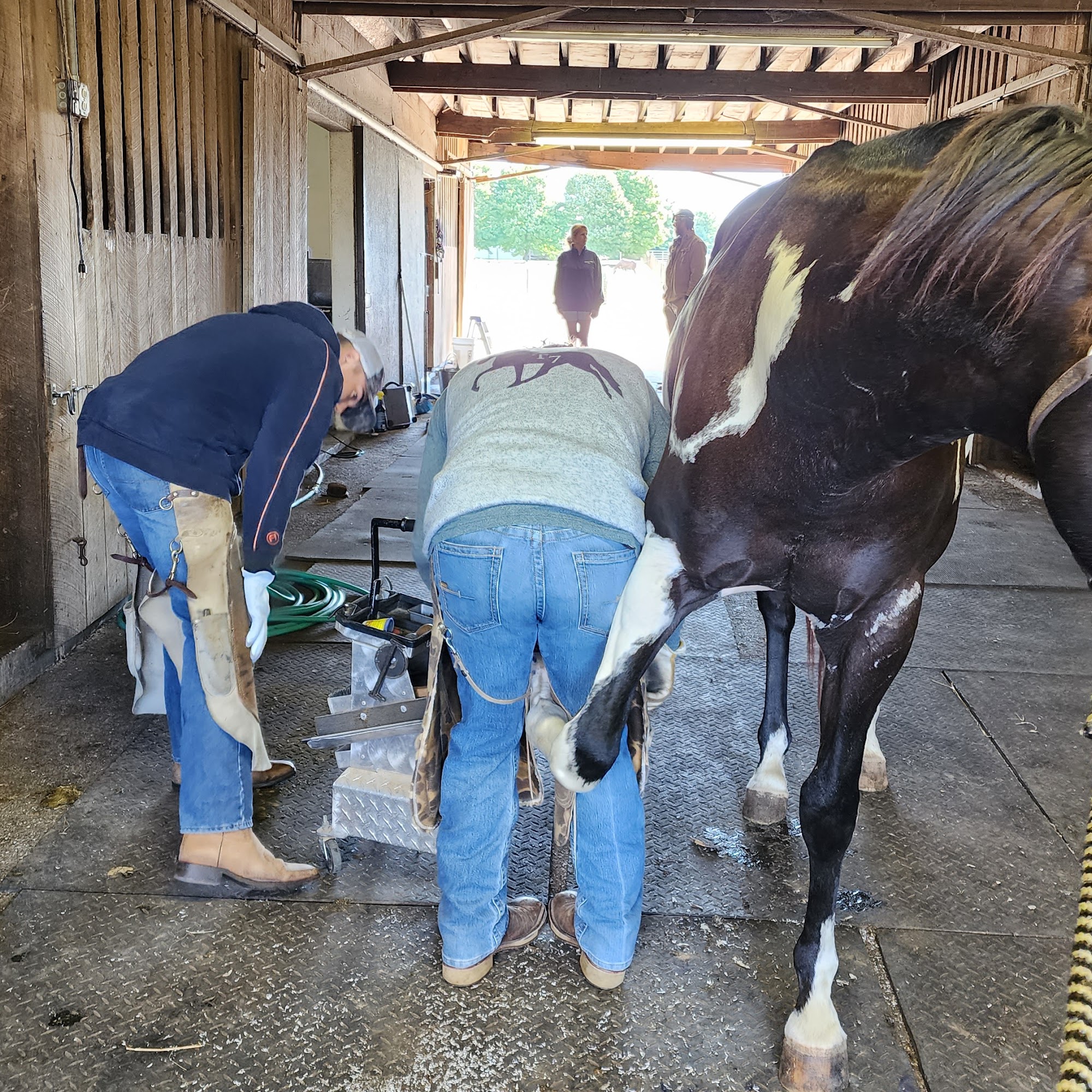 O'Brien Veterinary Hospital Bowling Green