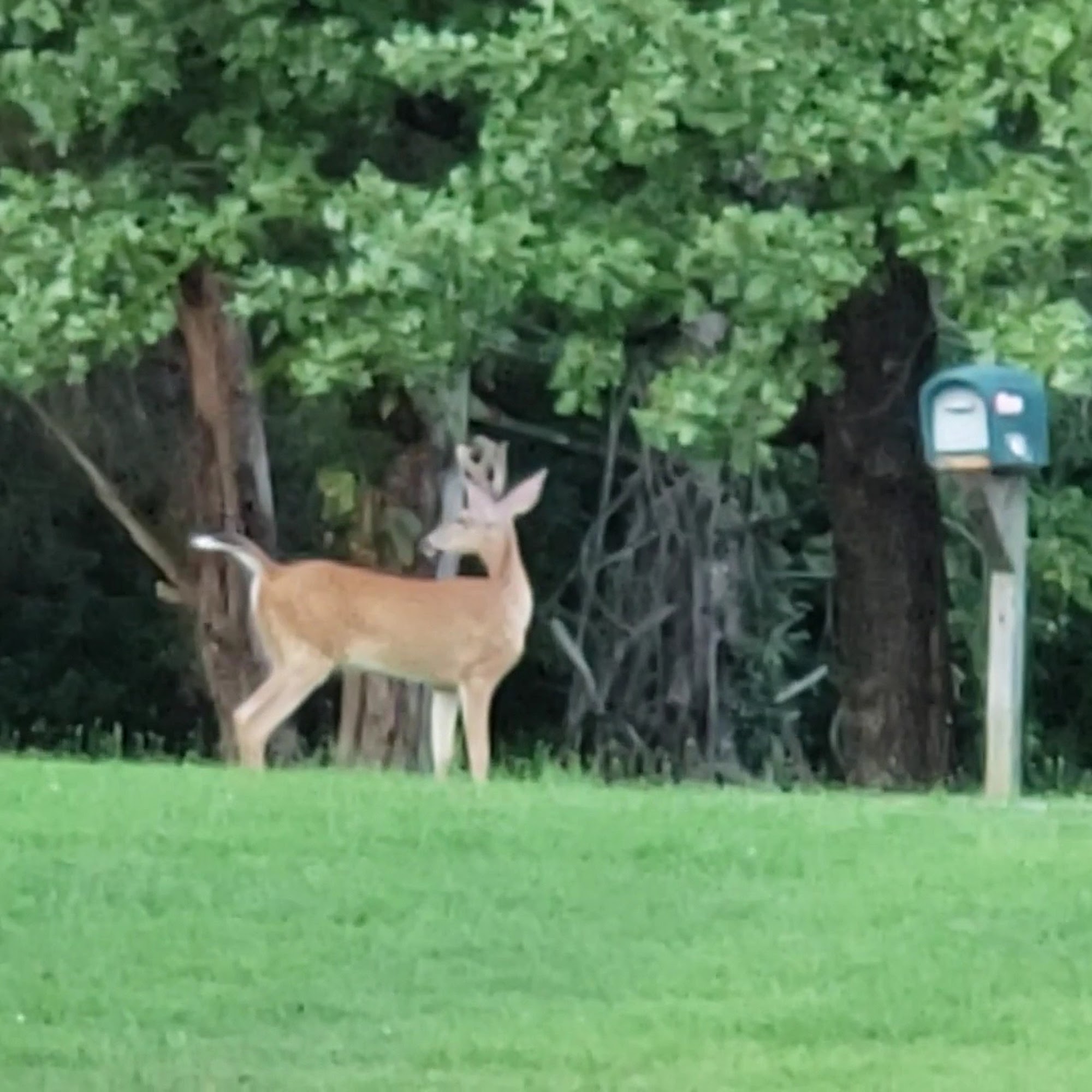 Doe Valley Golf Club Brandenburg