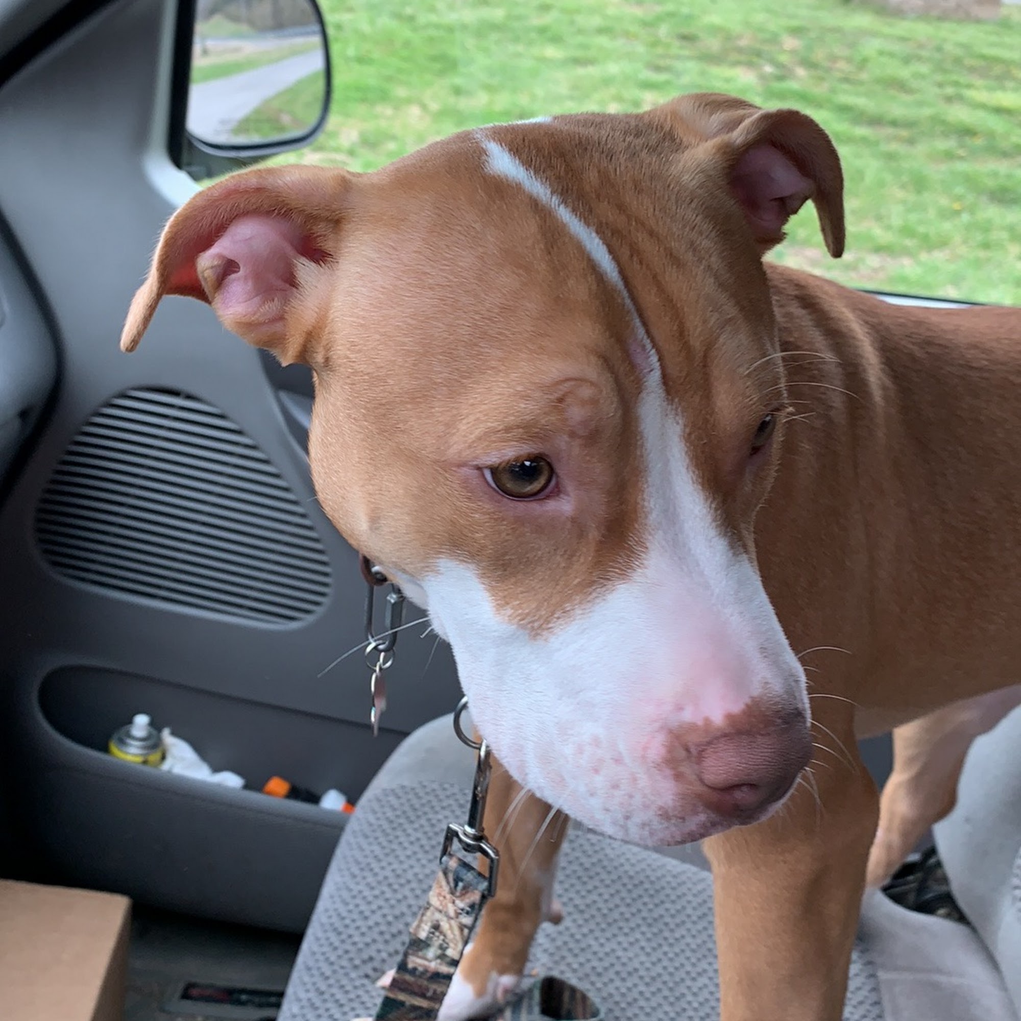 Cumberland River Veterinary Burkesville