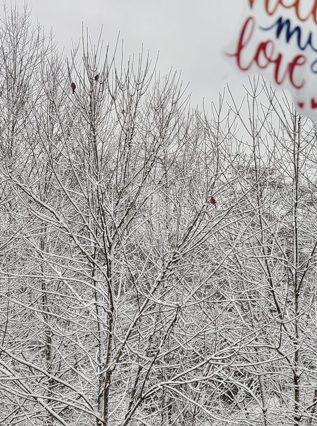 Solid Air Heating and Cooling LLC