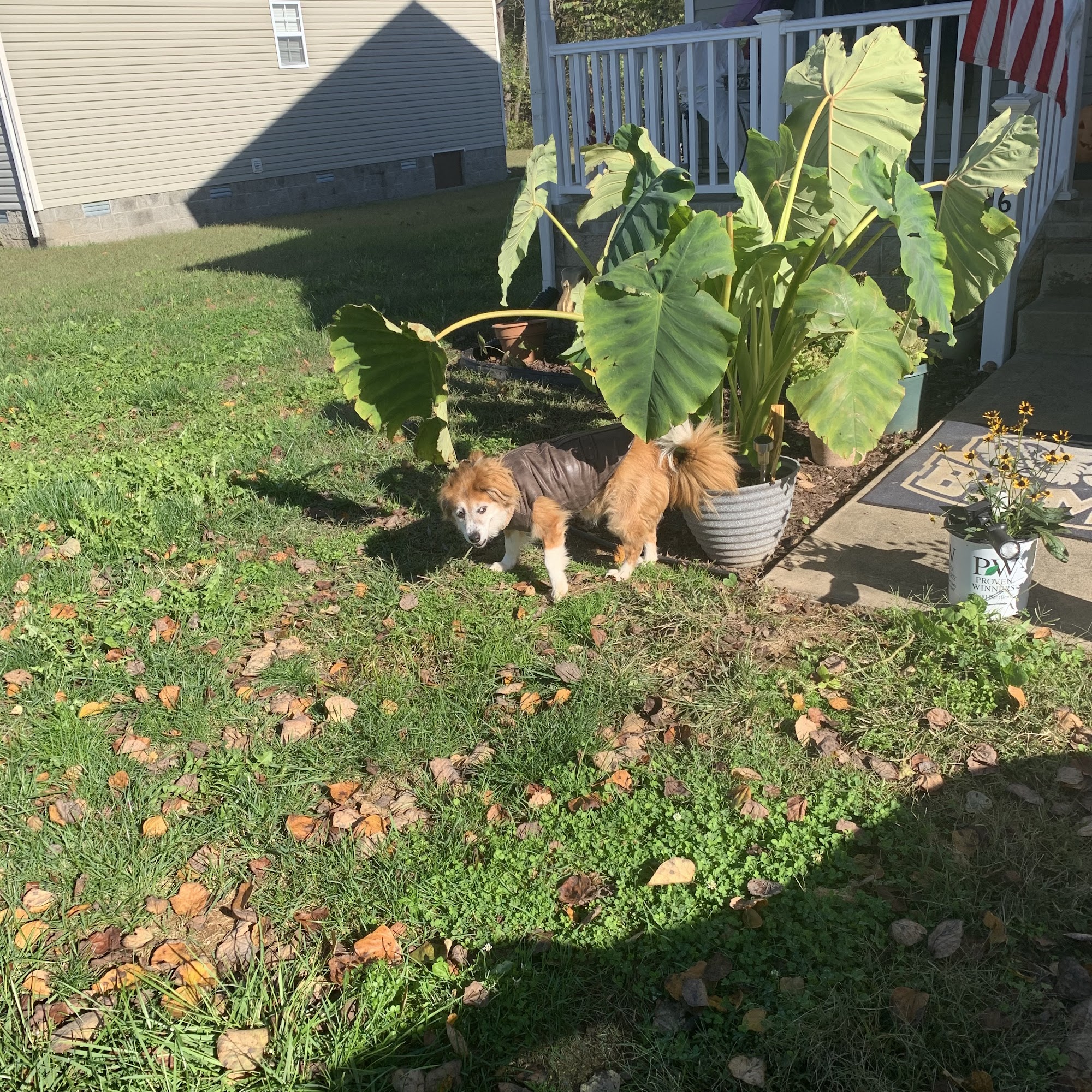 Trigg County Veterinary Clinic Cadiz