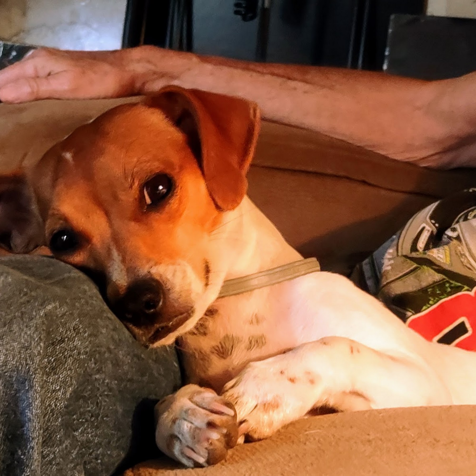 Little River Veterinary Clinic Cadiz