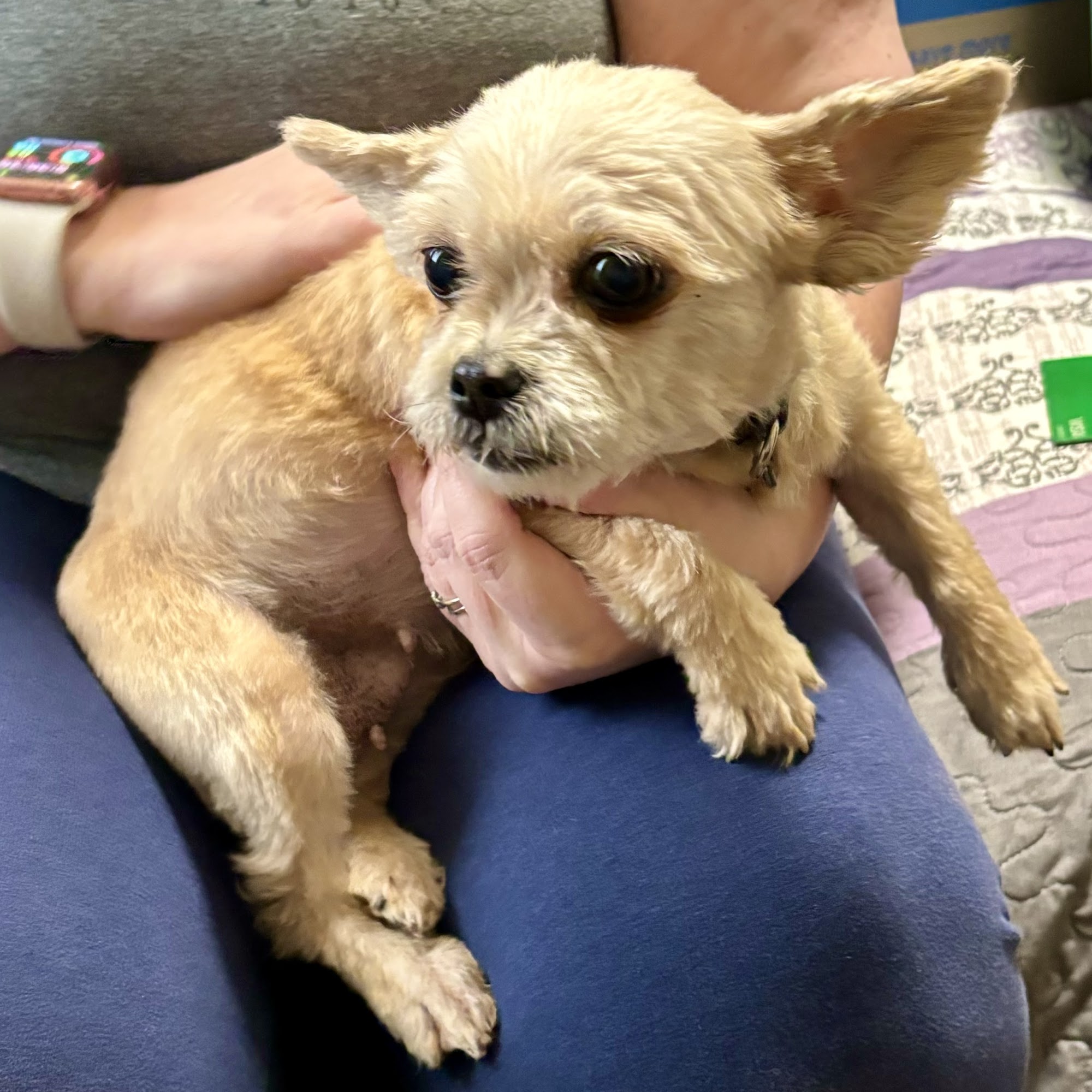 Animal Hospital Campbellsville