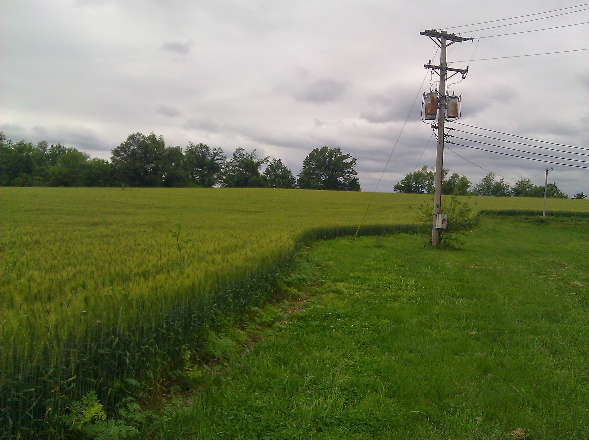 Romans Food Services Cecilia