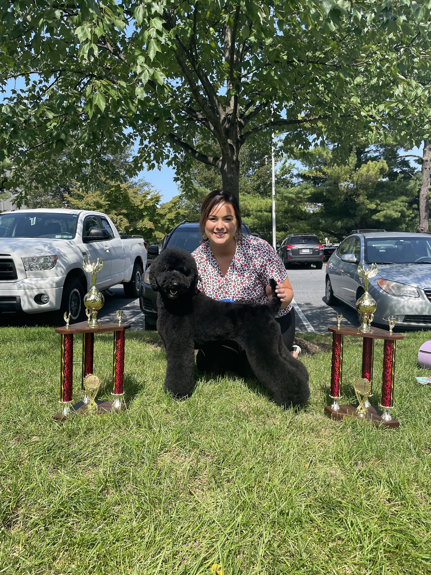 Shear Perfection Pet Salon Columbia