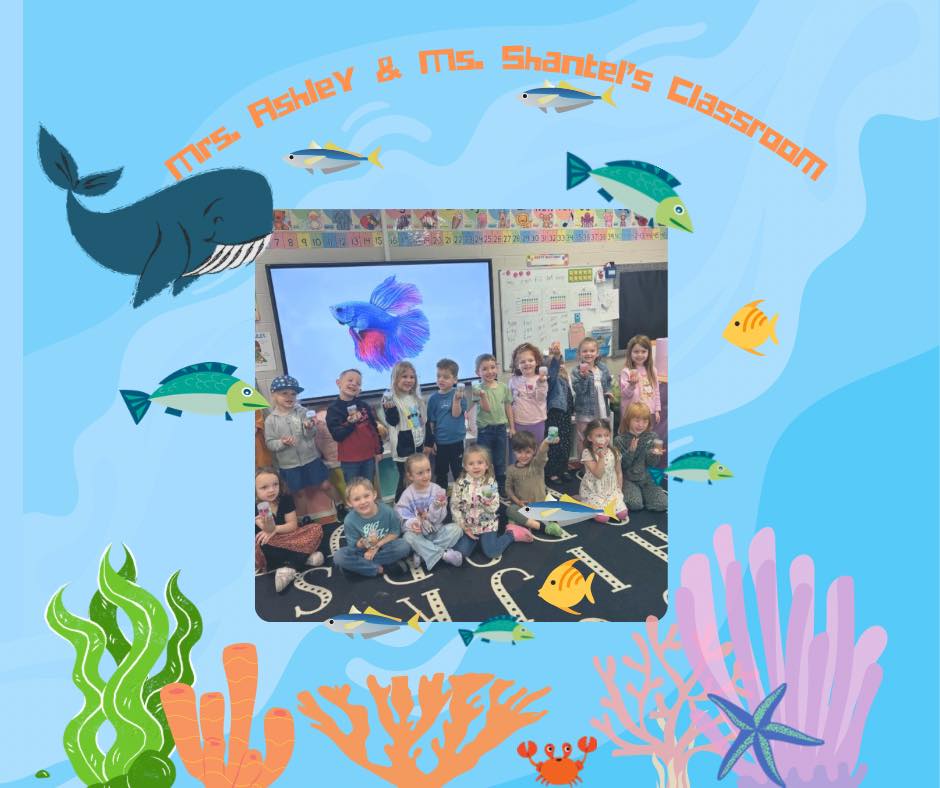 Bell-Whitley Community Action Agency