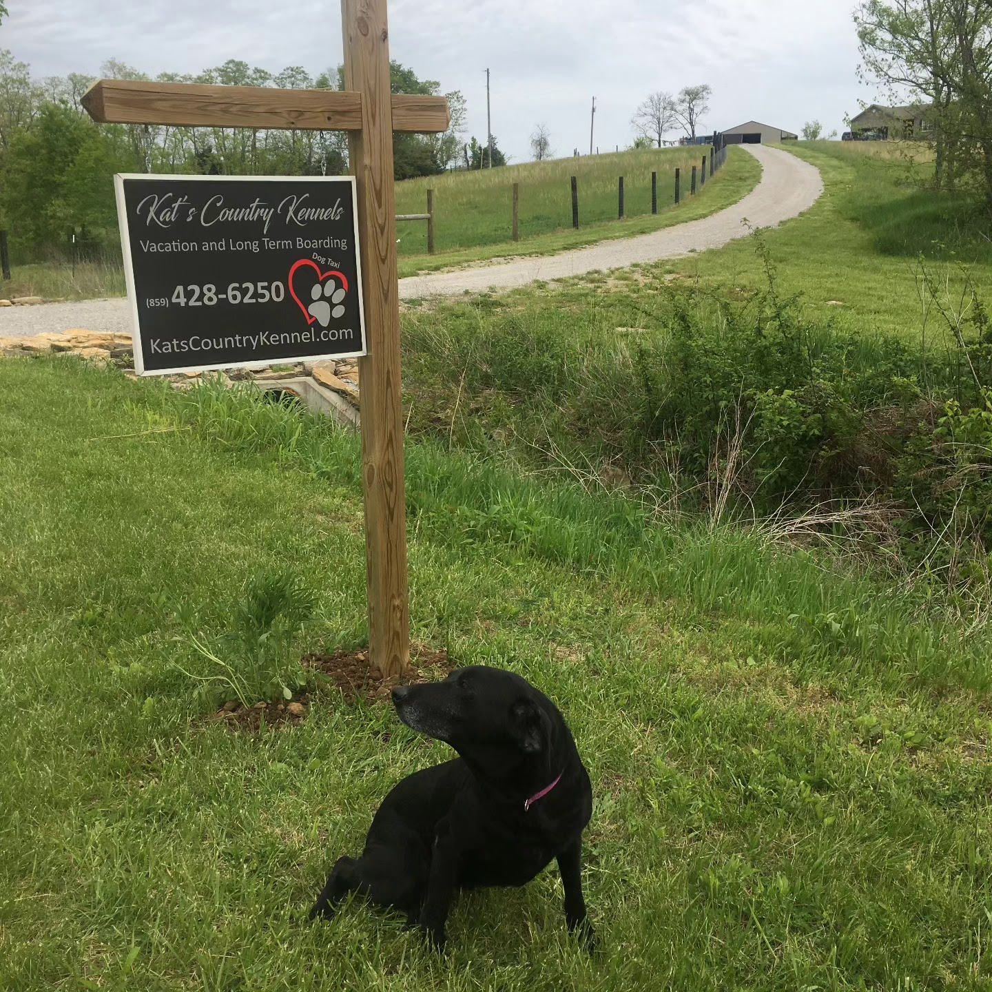 Kats Country Kennels Corinth