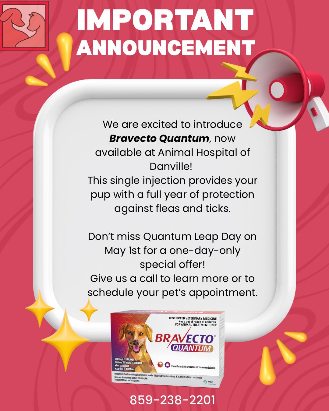 Animal Hospital of Danville Danville