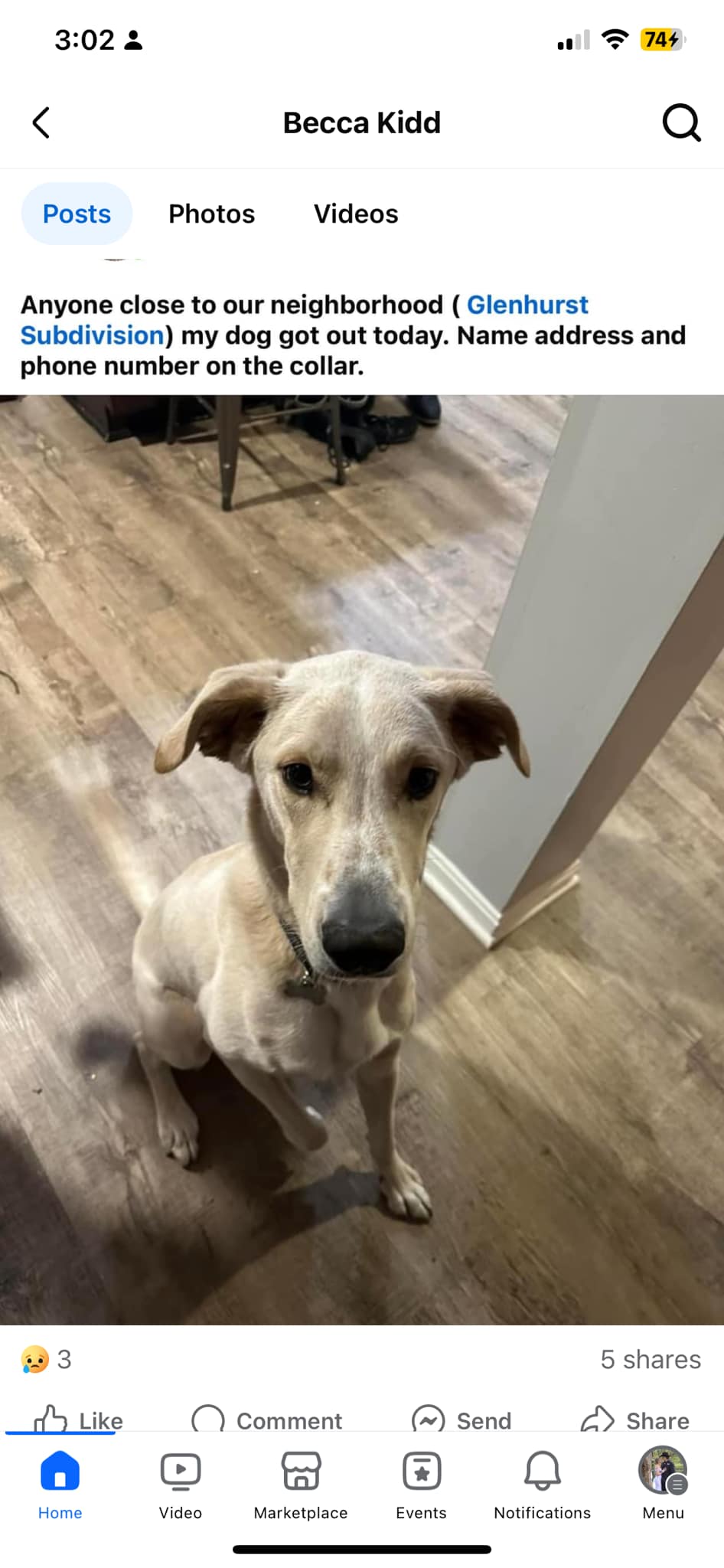 Piner Paws Pet Salon