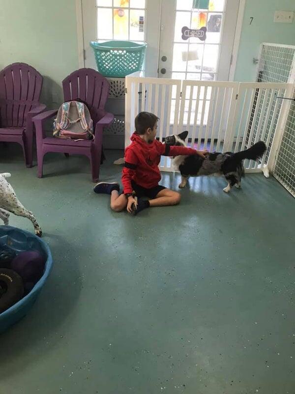 Photo credit: nextdoor