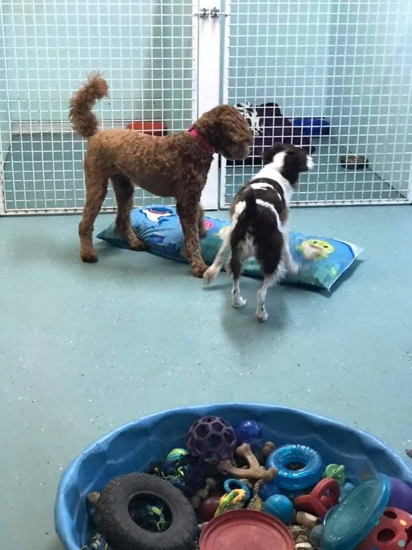 Photo credit: nextdoor