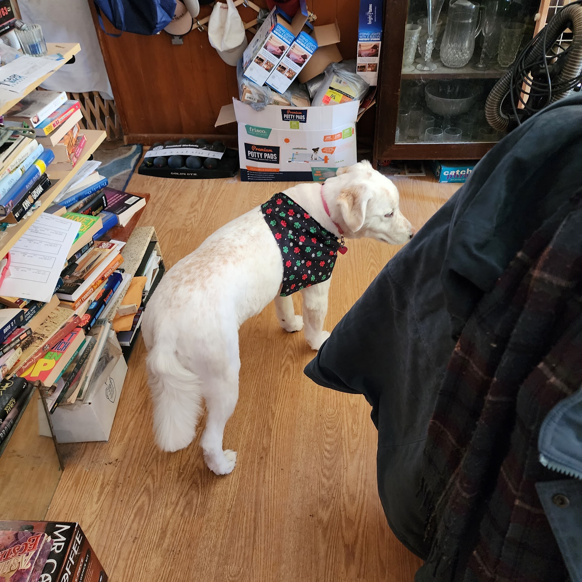 PetSmart Grooming Elizabethtown