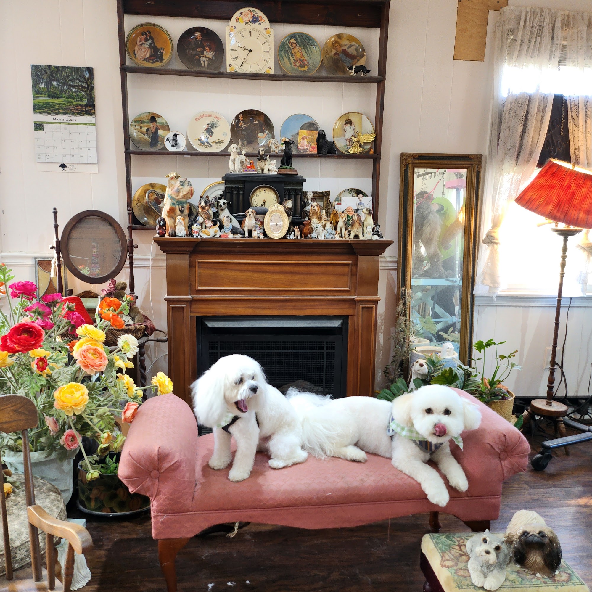 K-Pup Dog Grooming - Salon and Spa and Make-over Elizabethtown