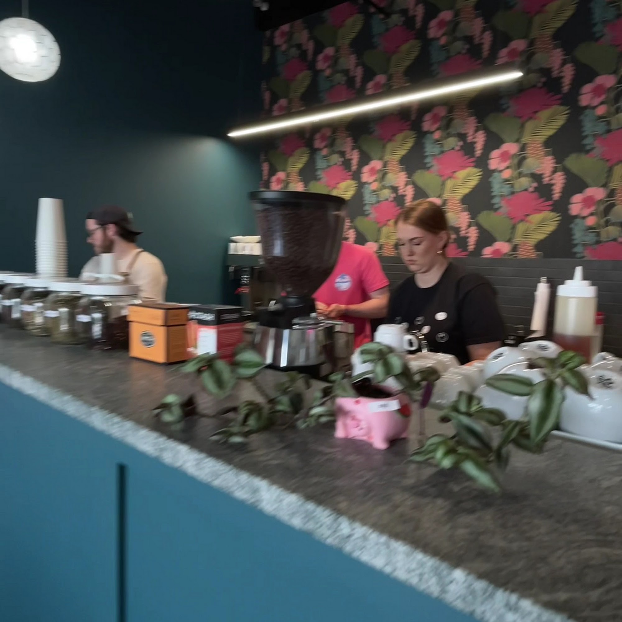 Vibe Coffee North Dixie Elizabethtown