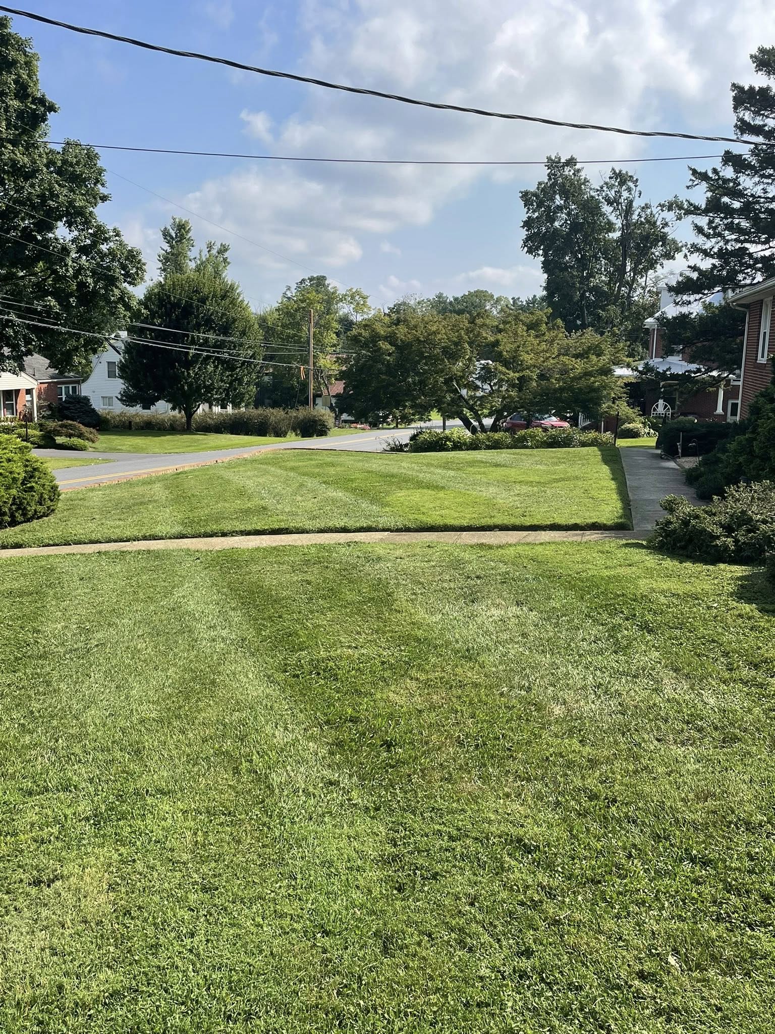 Payne landscape Co.