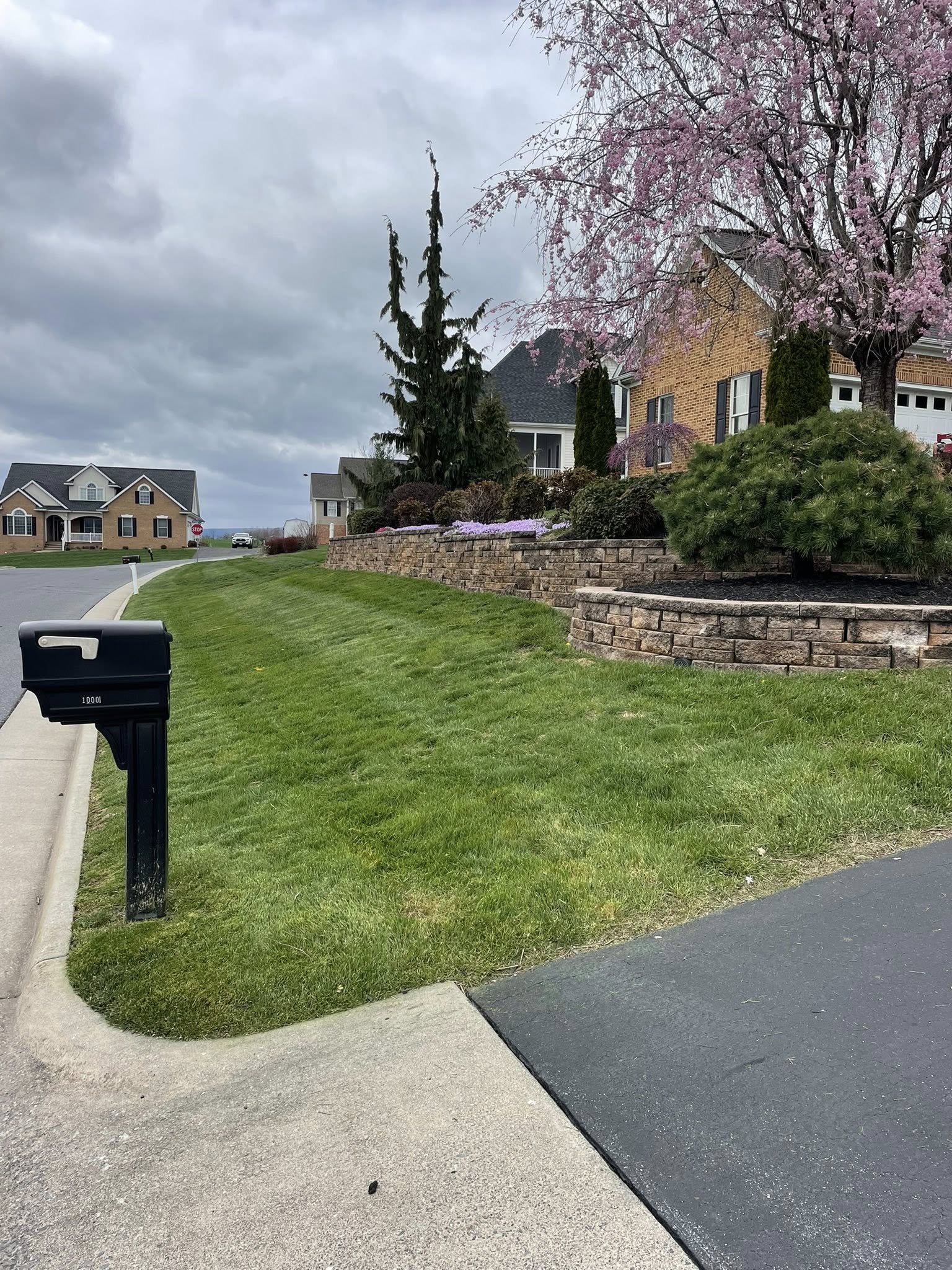 Payne landscape Co.