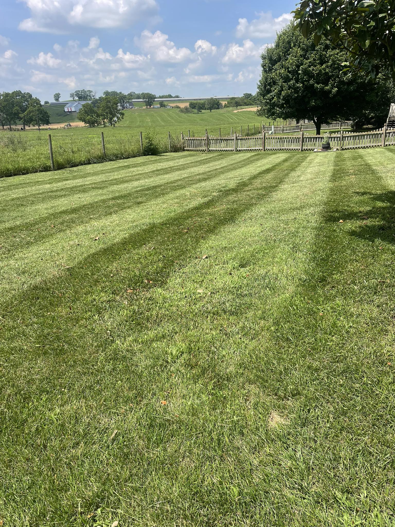 Payne landscape Co.