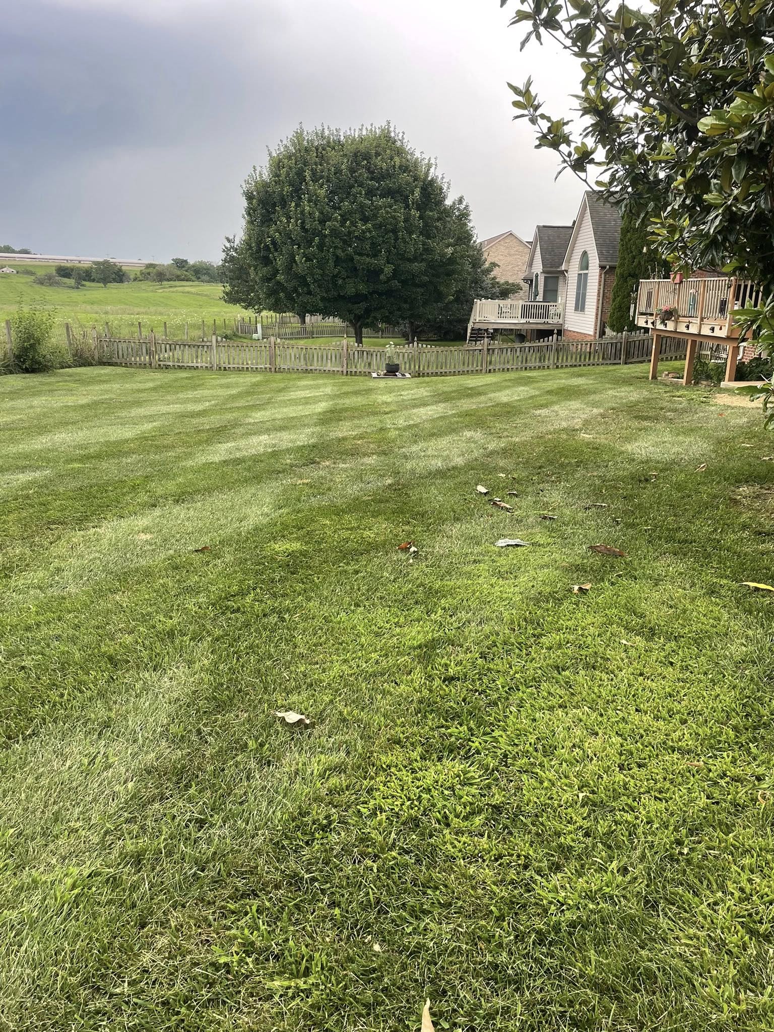 Payne landscape Co.