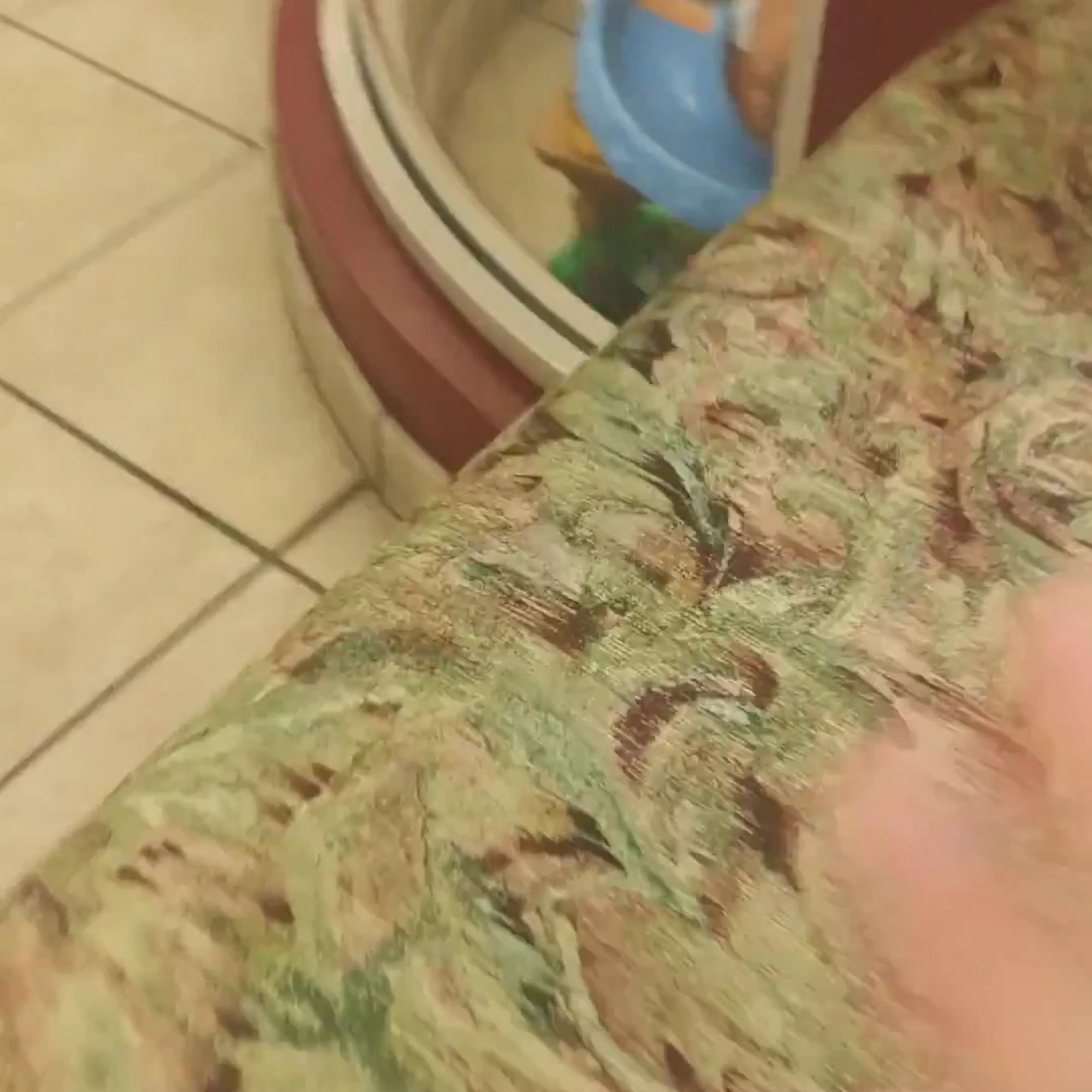 Dr. Bette J. Vecchione Erlanger