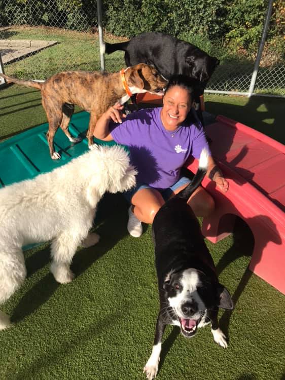 PetSuites Erlanger Erlanger