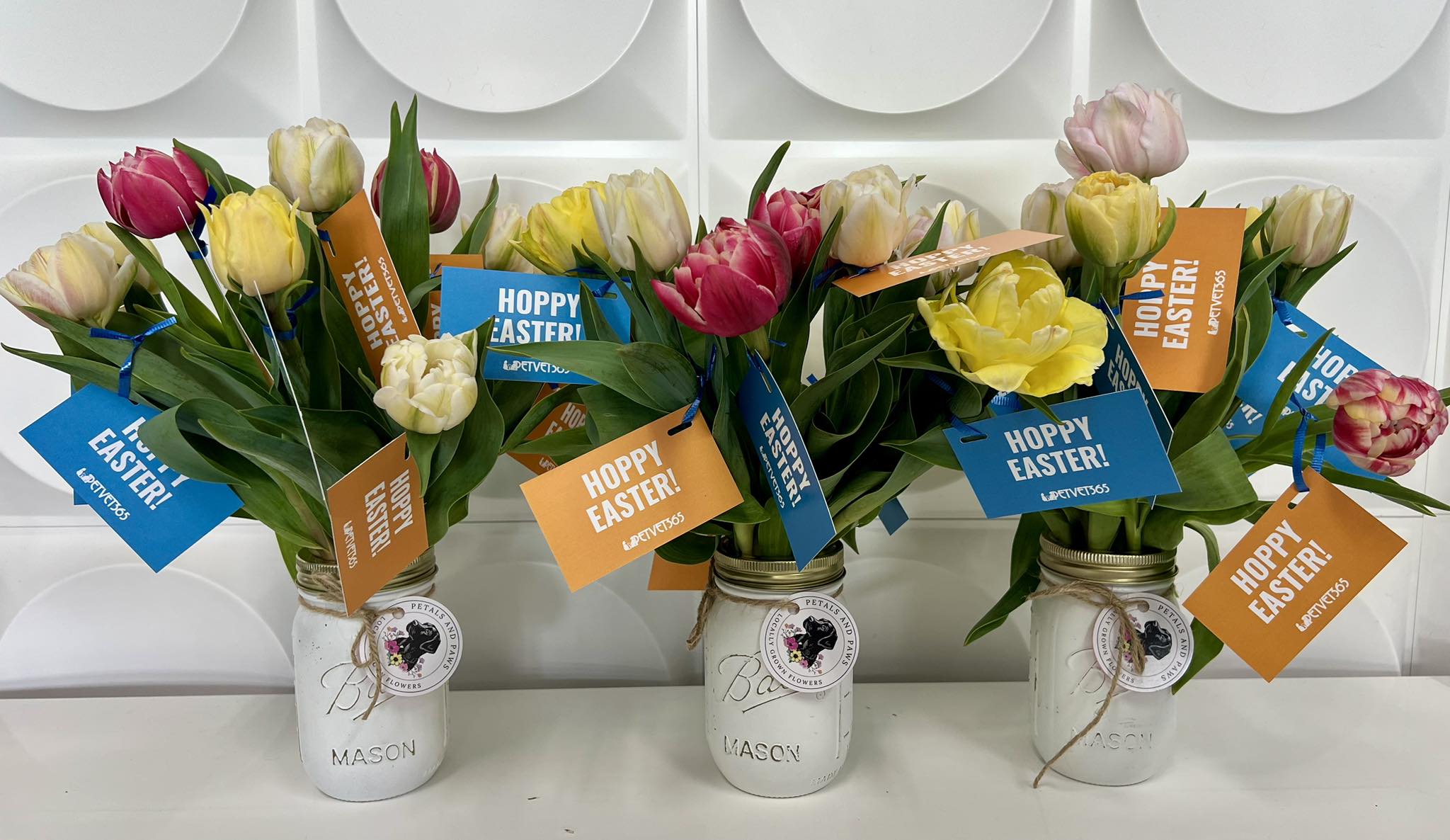 PetVet365 Pet Hospital Florence Florence