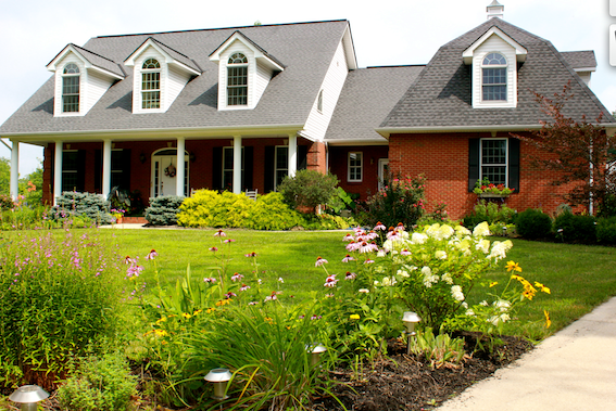 Don Maddox Lawn Care